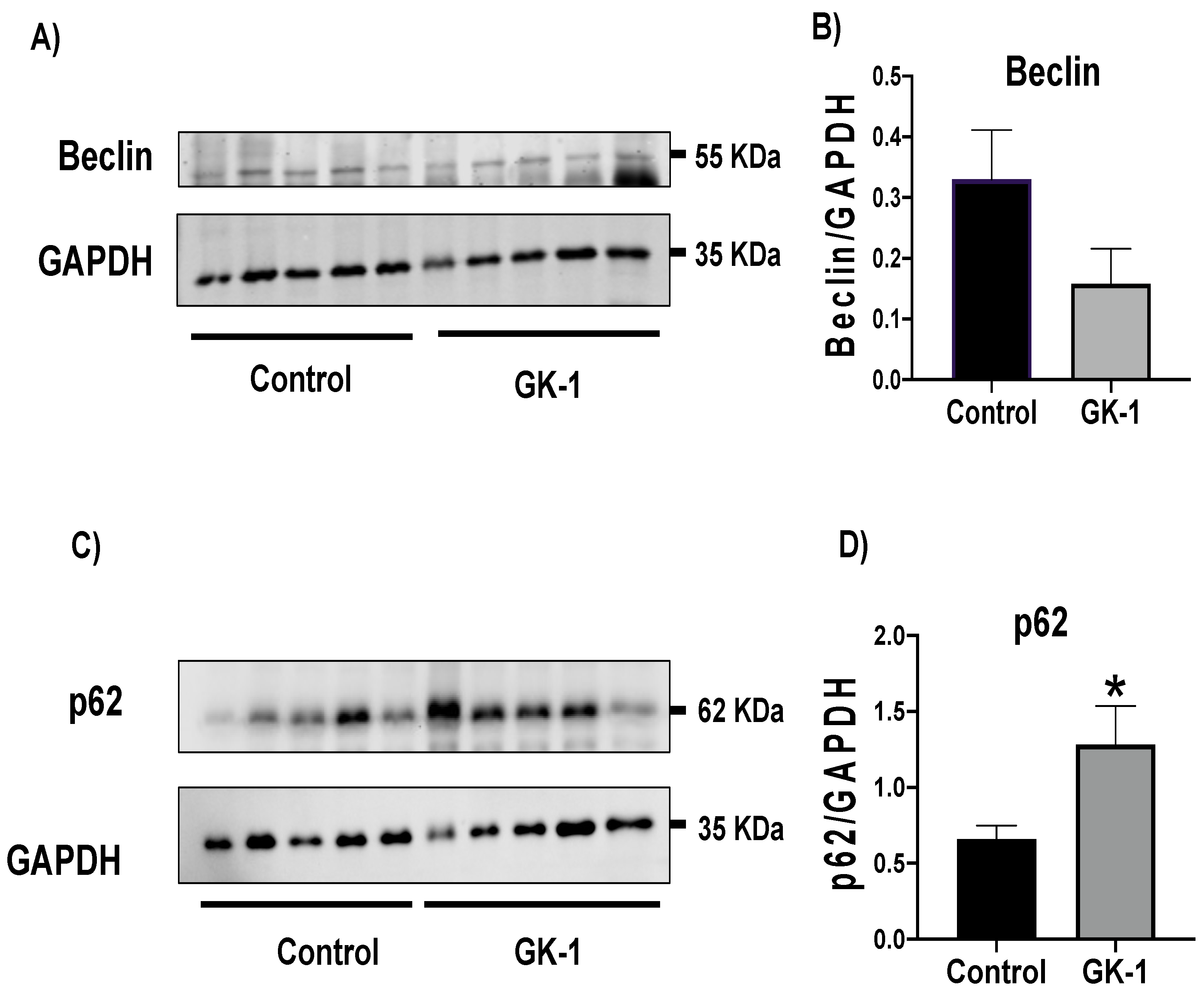 Antioxidants 12 00056 g009