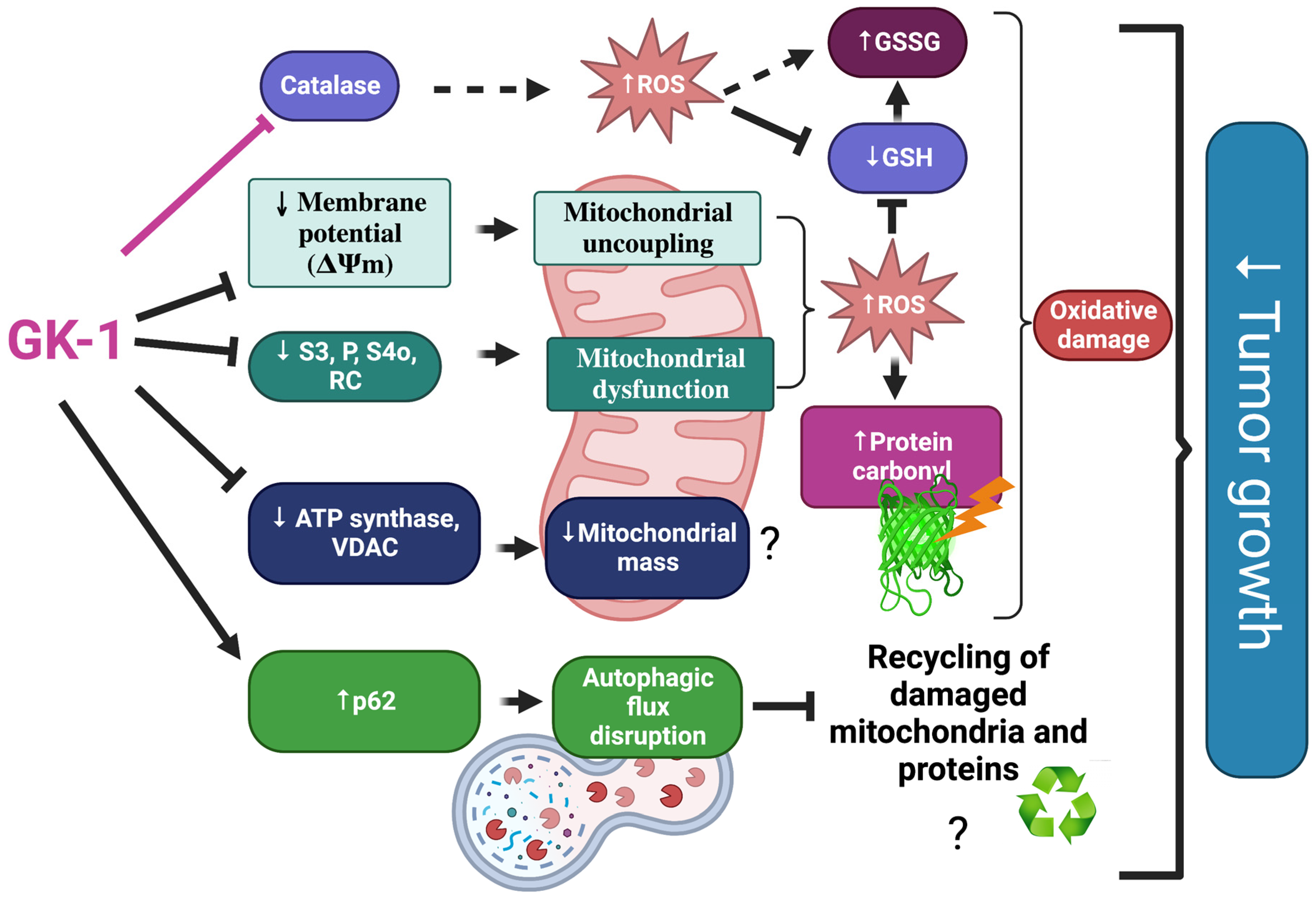 Antioxidants 12 00056 g010