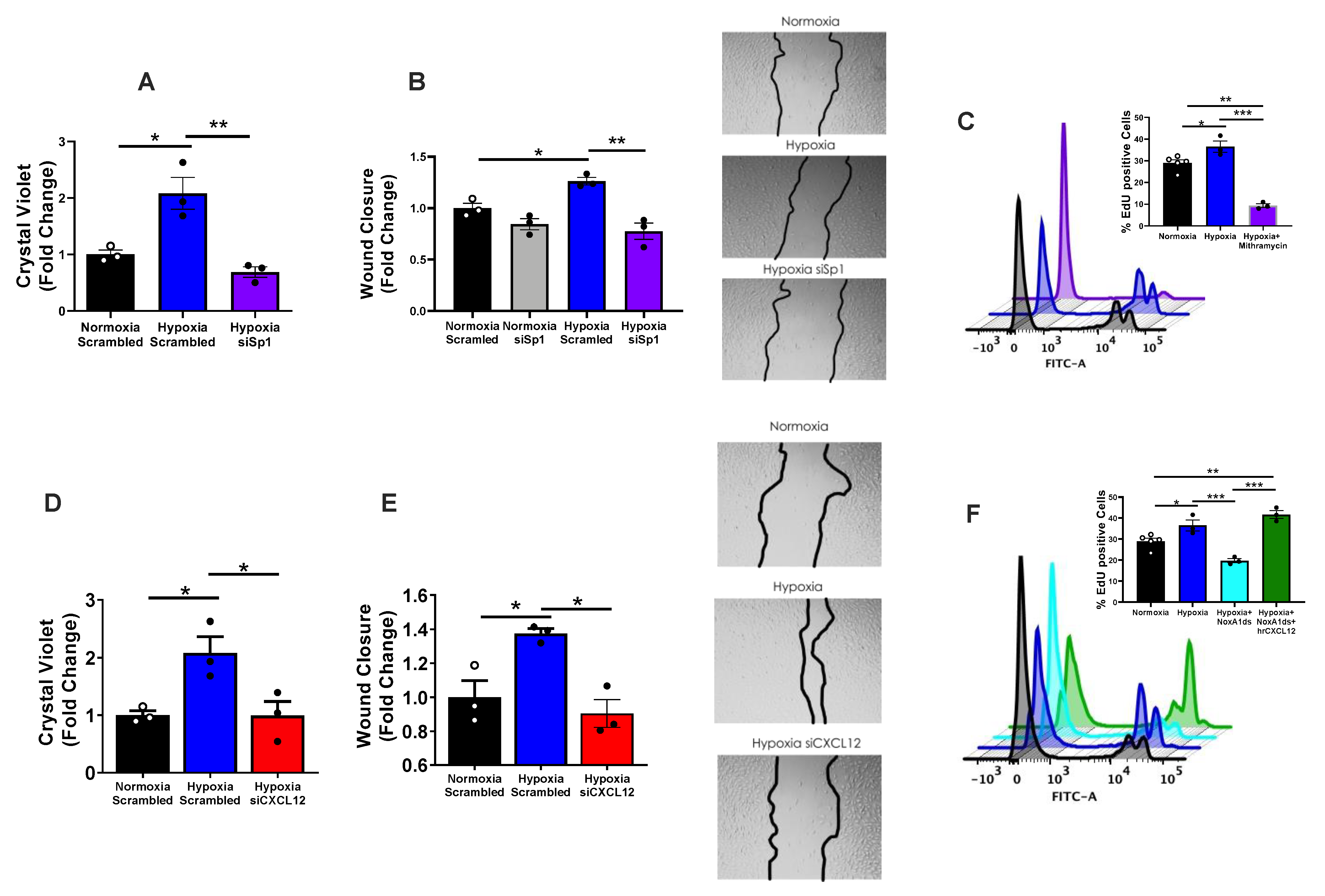 Antioxidants 12 00071 g003