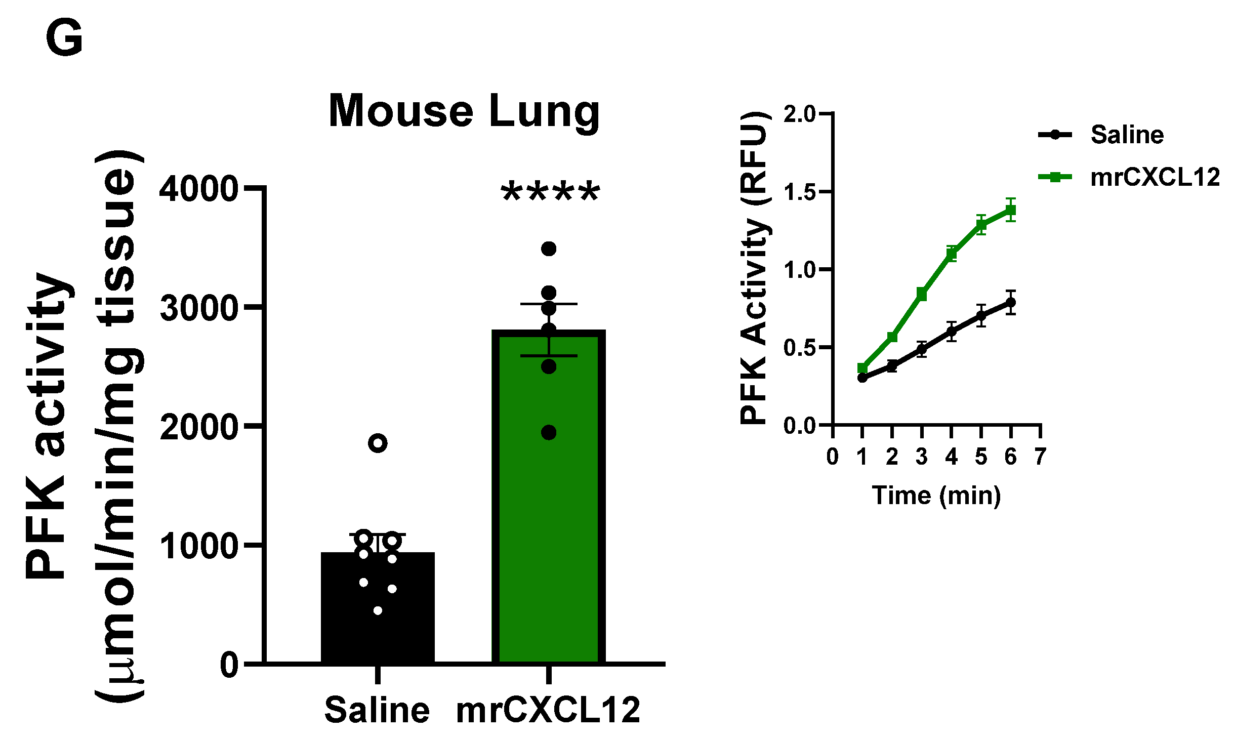 Antioxidants 12 00071 g005b