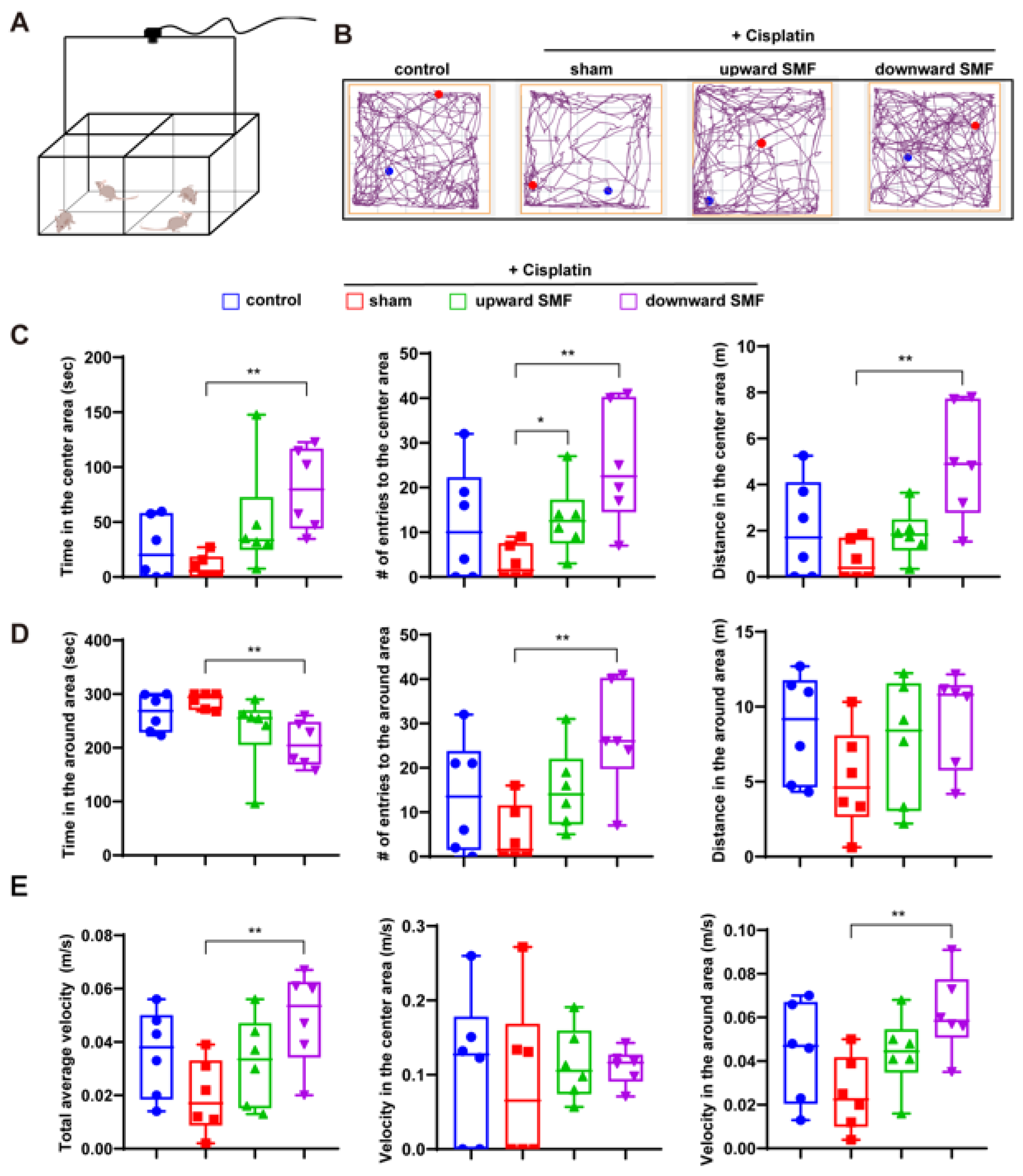 Antioxidants 12 00073 g003 Antioxidants 12 00073 g003