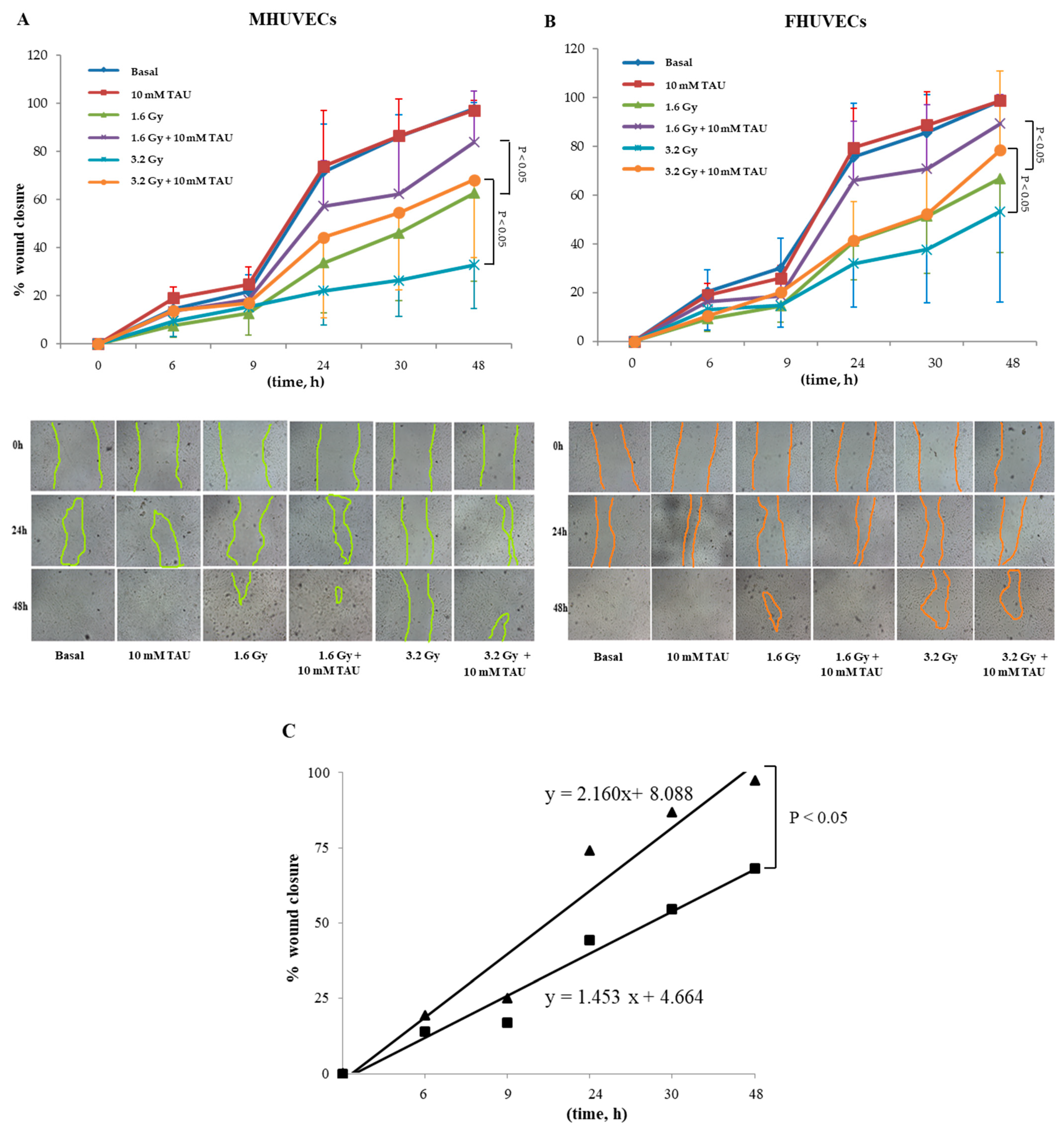 Antioxidants 12 00077 g004