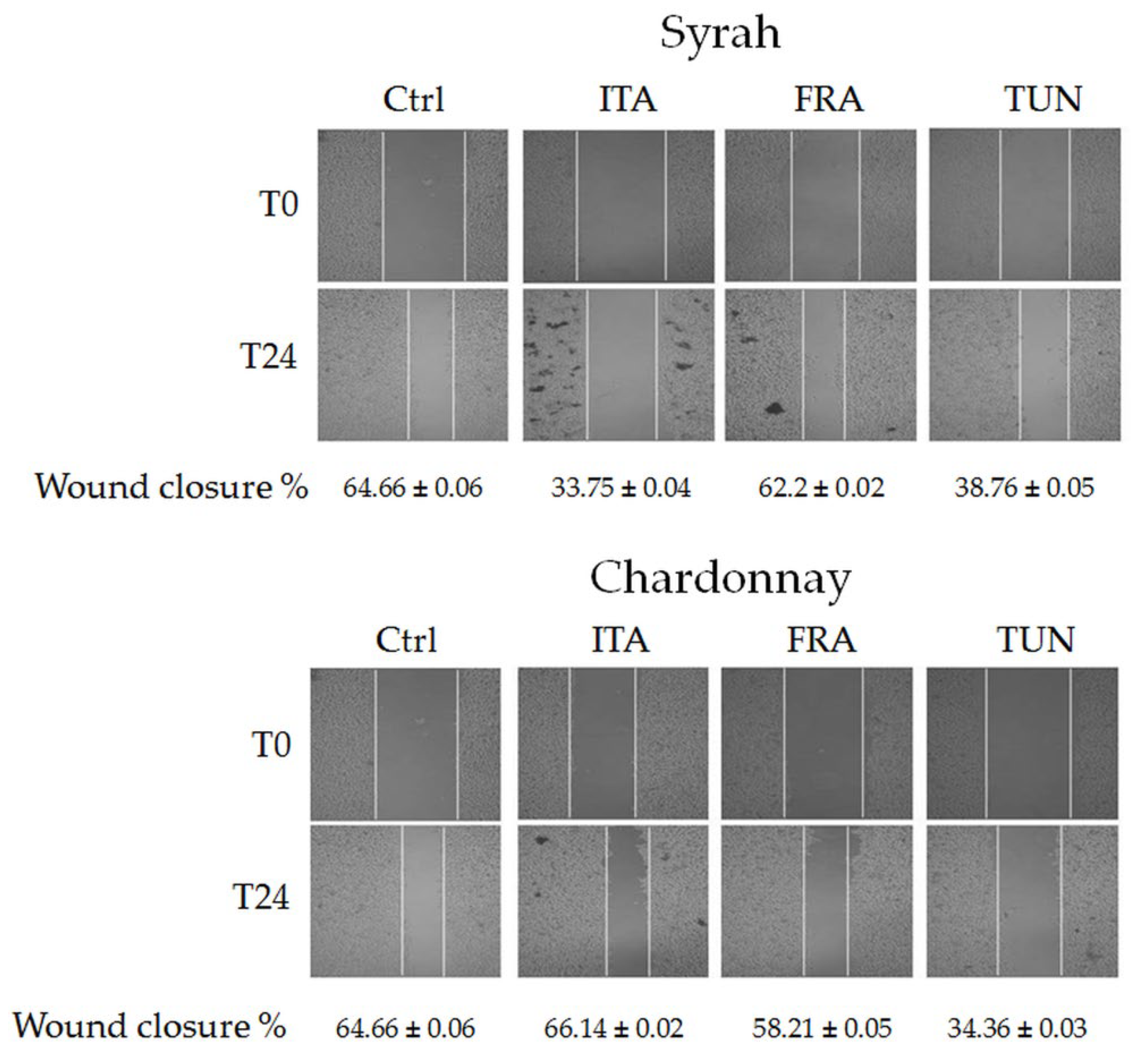 Antioxidants 12 00080 g005