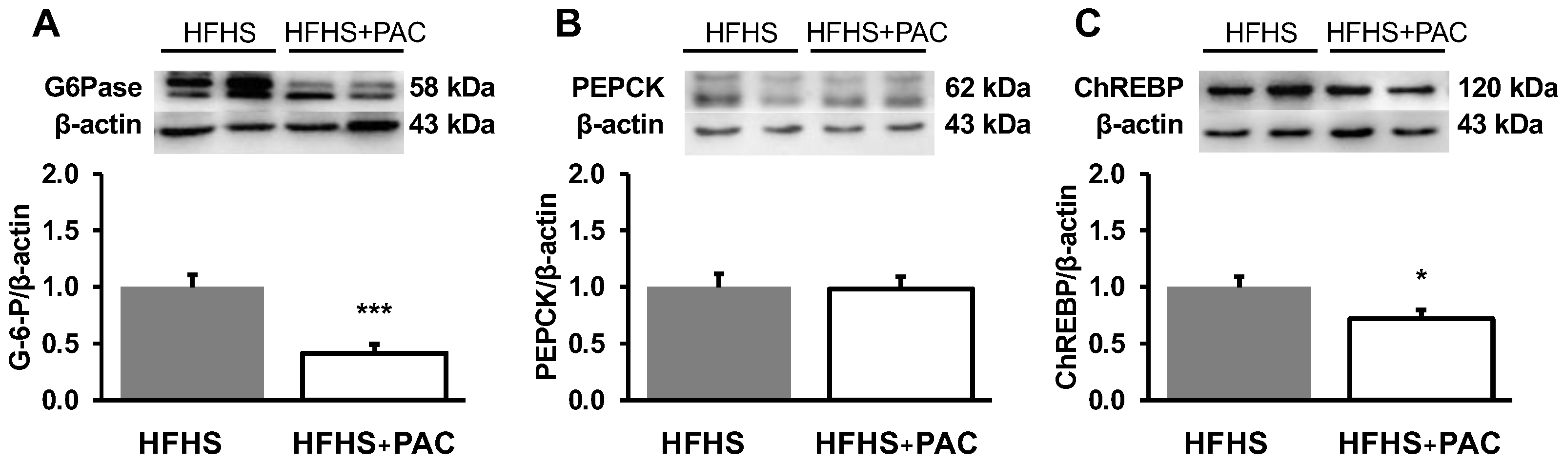Antioxidants 12 00090 g008