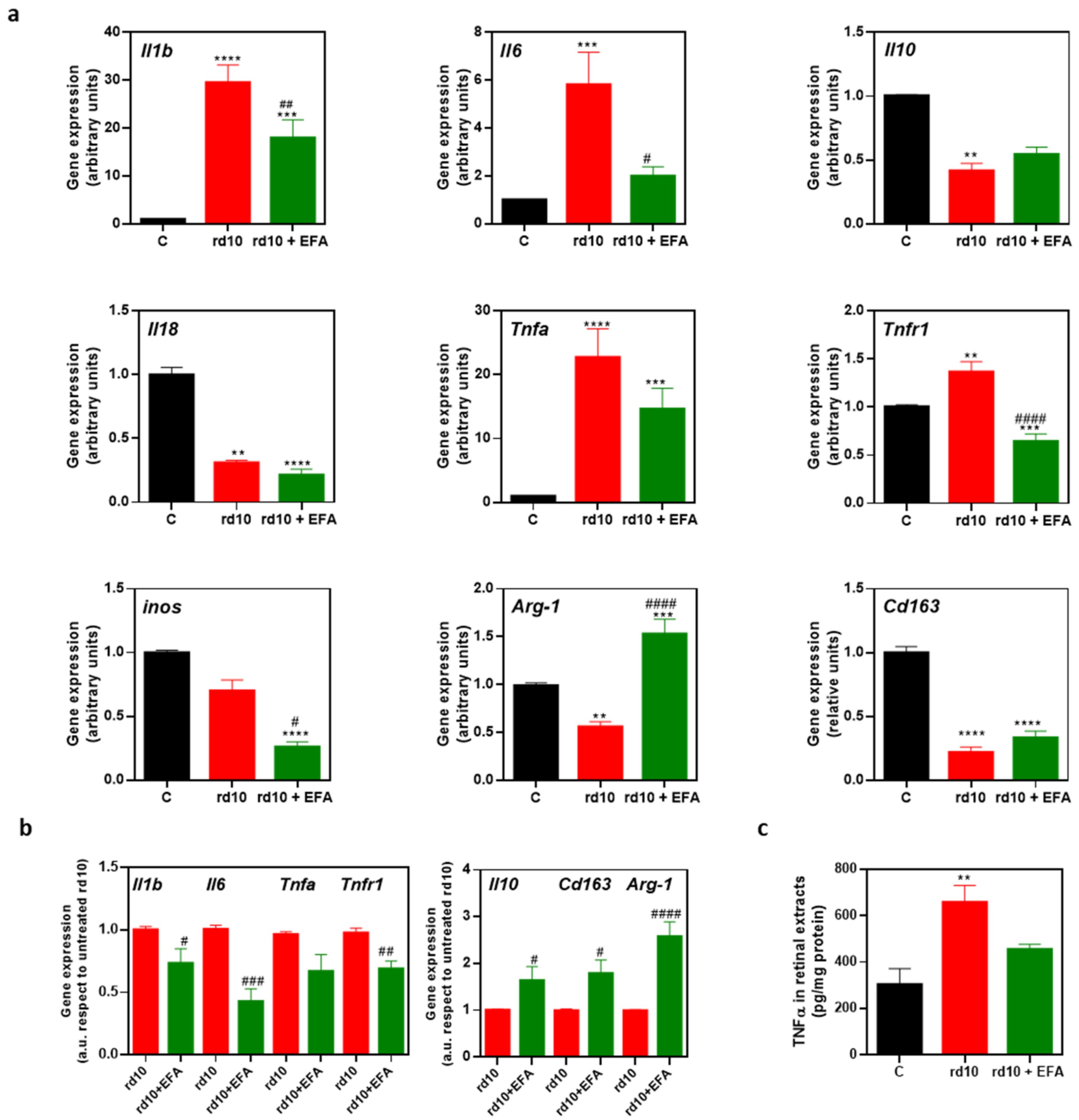 Antioxidants 12 00098 g007 Antioxidants 12 00098 g007