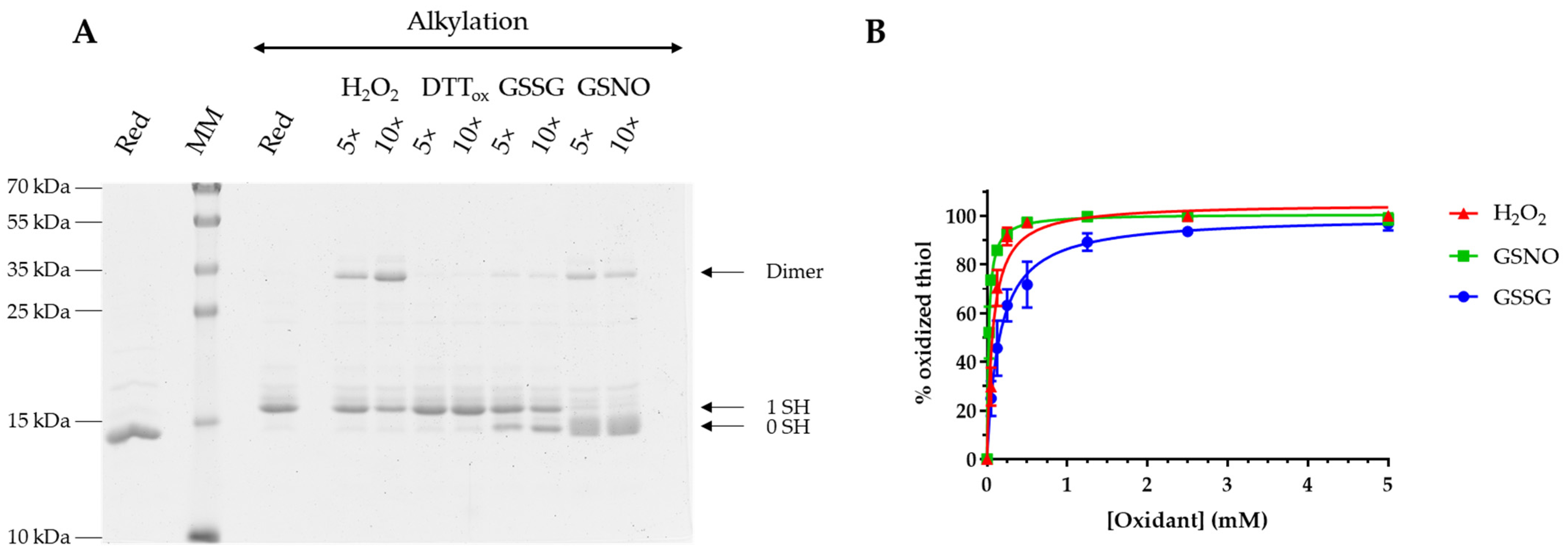 Antioxidants 12 00102 g002 Antioxidants 12 00102 g002