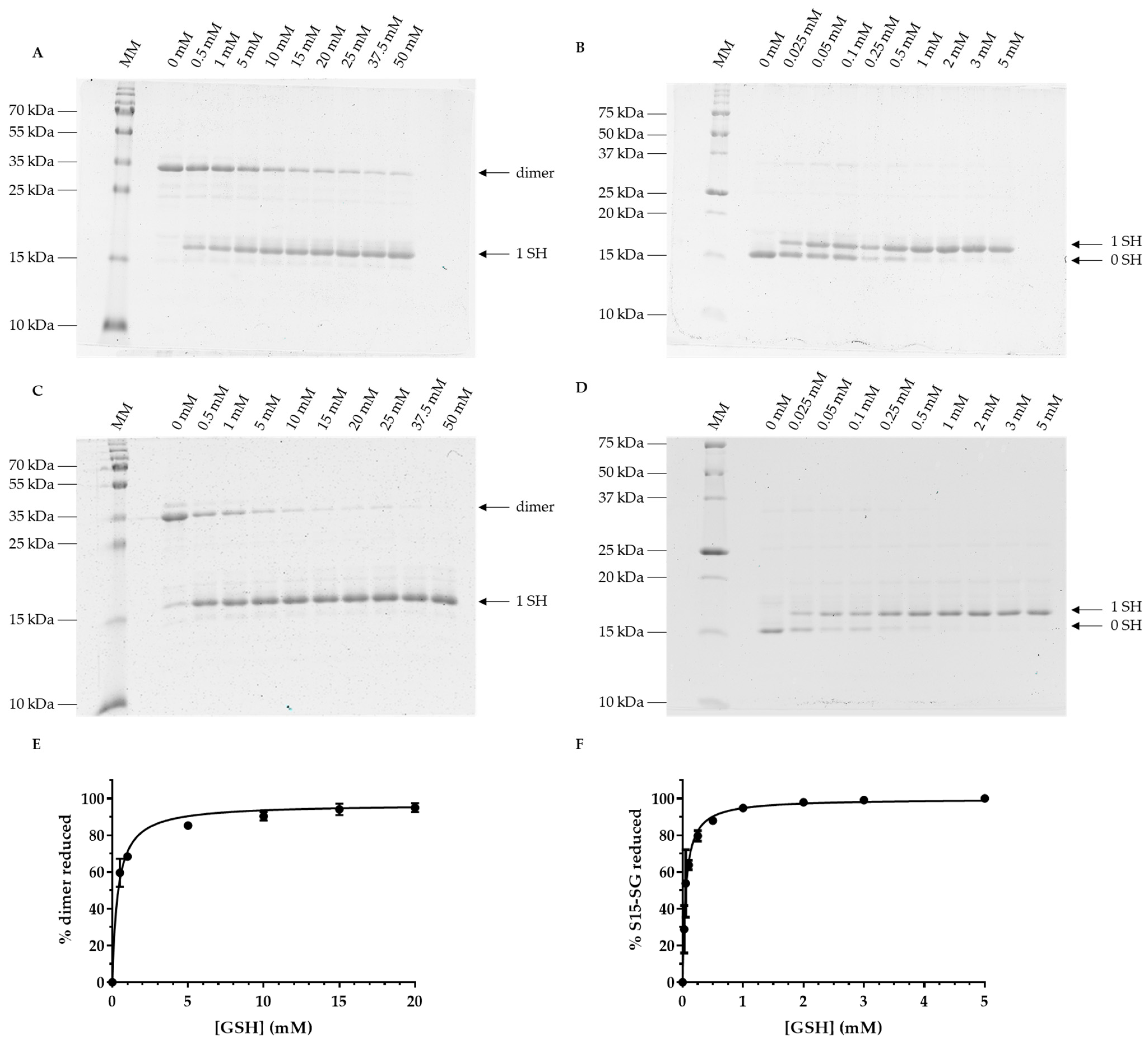 Antioxidants 12 00102 g005 Antioxidants 12 00102 g005
