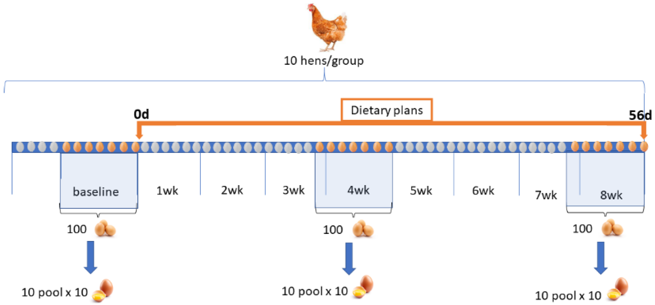 Antioxidants 12 00103 g001 Antioxidants 12 00103 g001