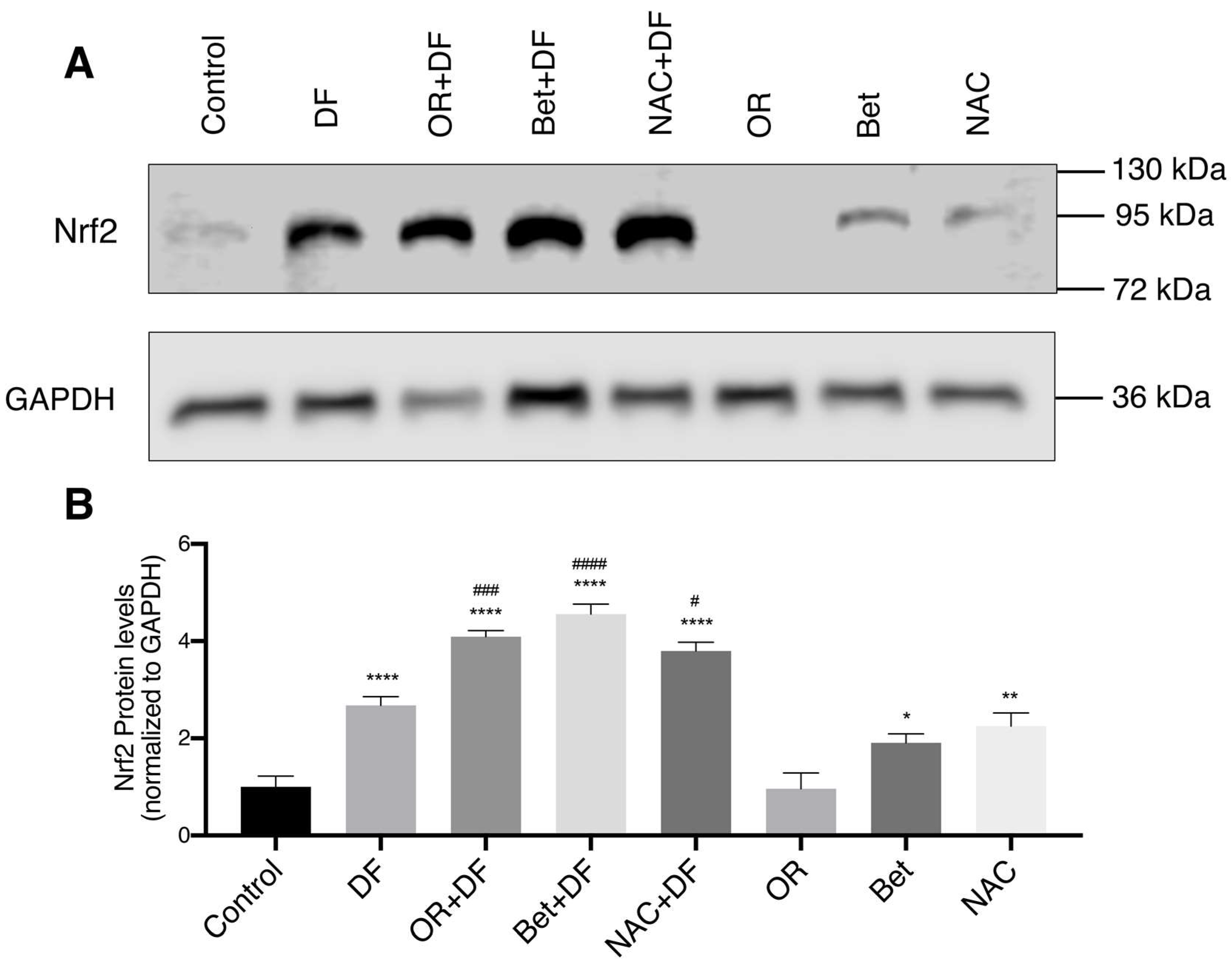 Antioxidants 12 00113 g004