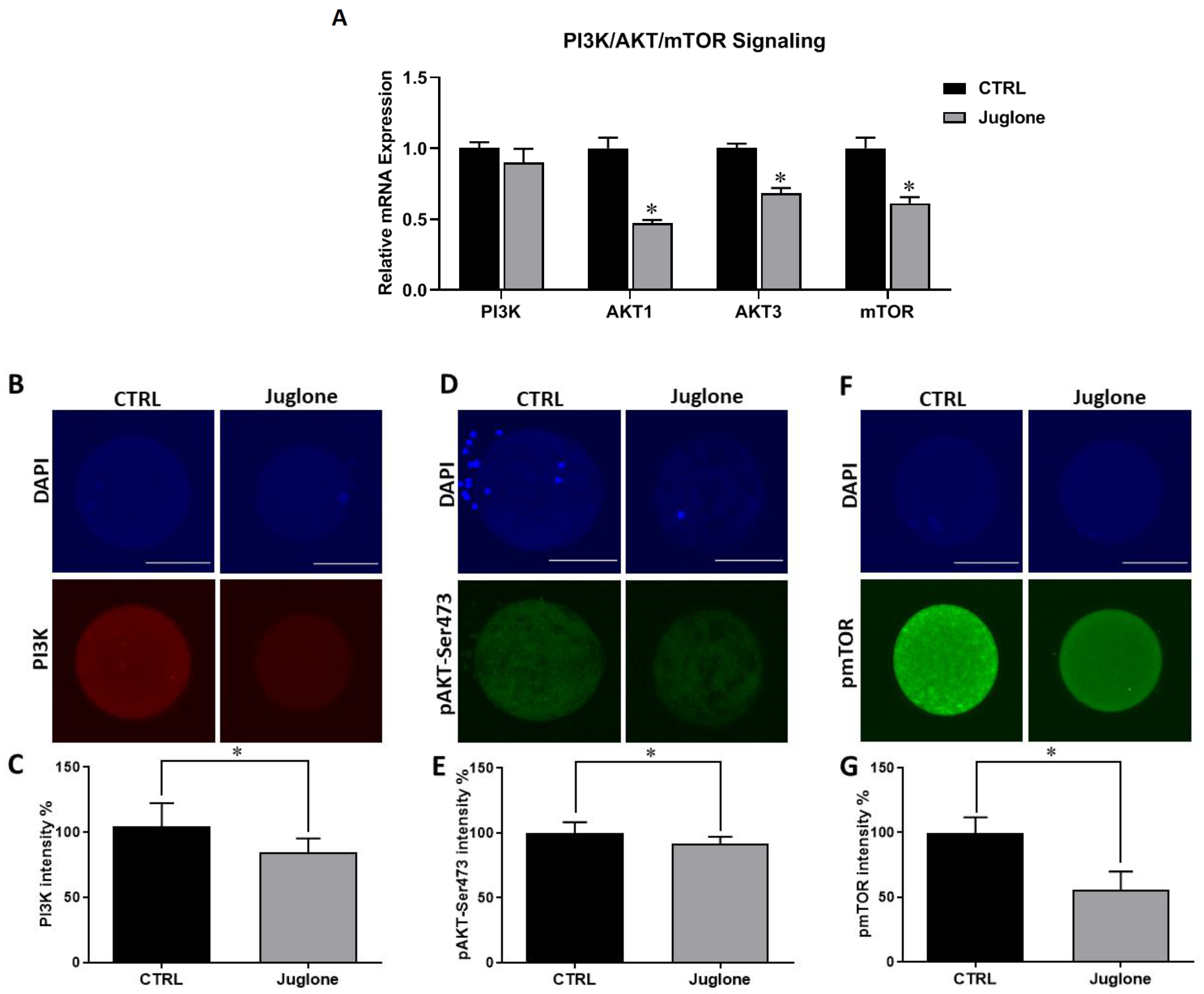 Antioxidants 12 00114 g002 Antioxidants 12 00114 g002