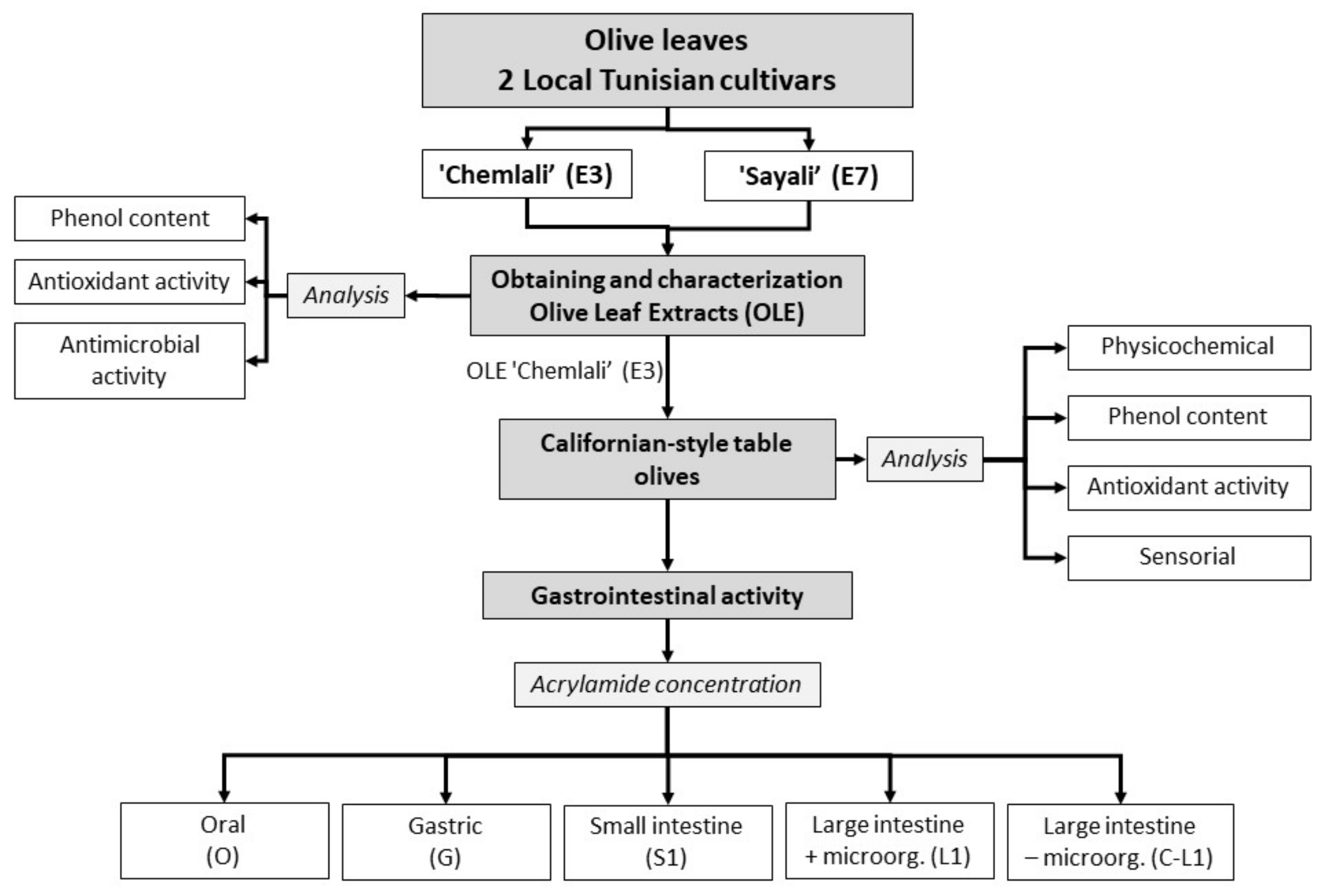 Antioxidants 12 00117 g001