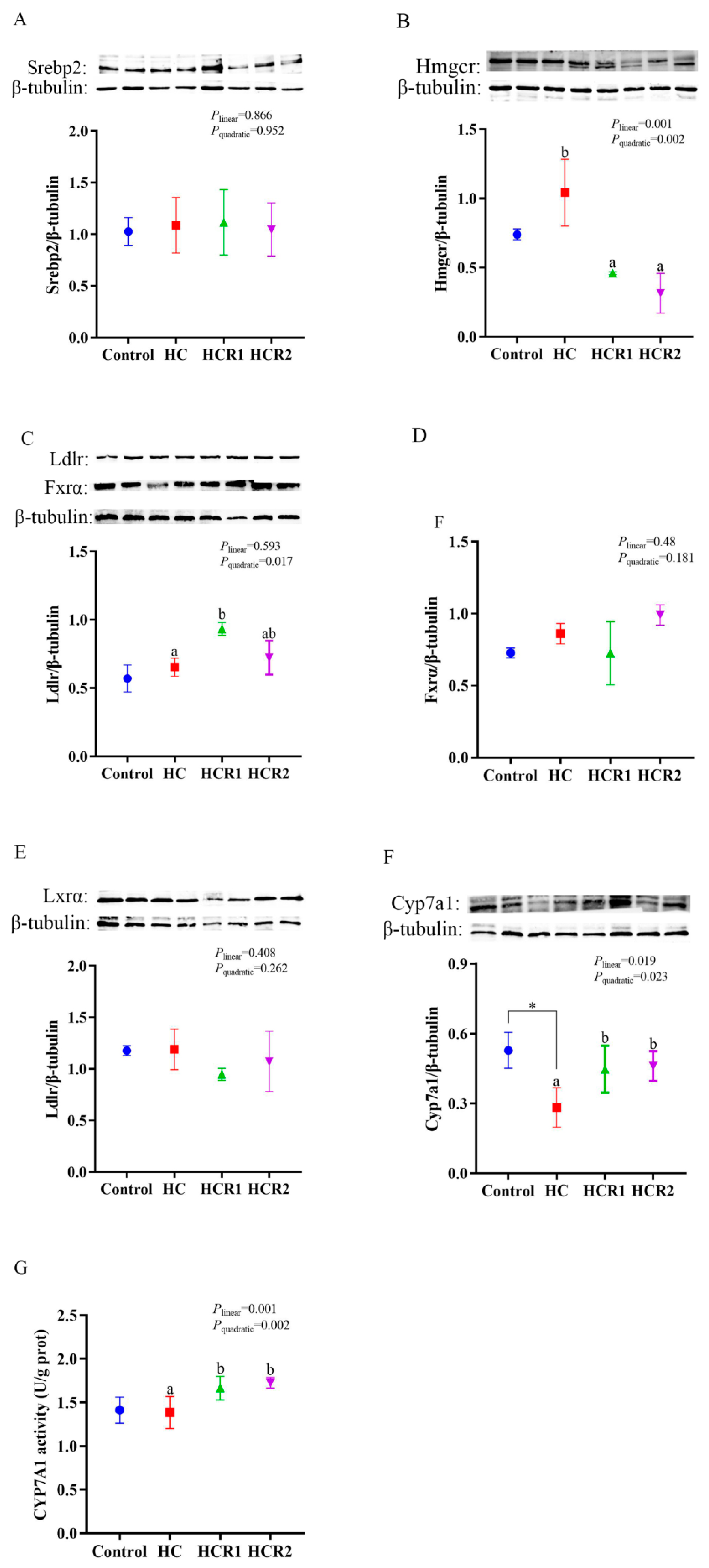 Antioxidants 12 00121 g008