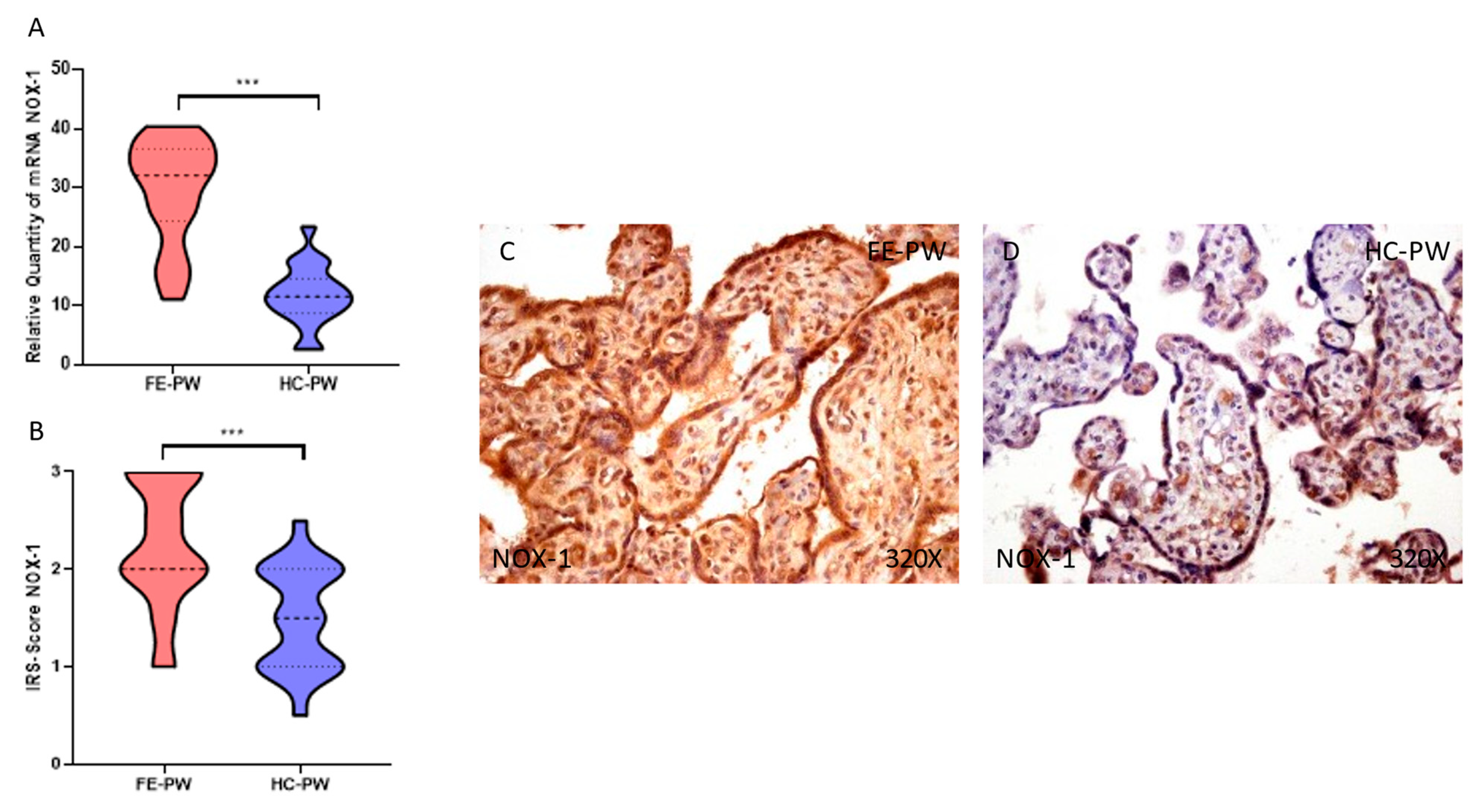 Antioxidants 12 00179 g001