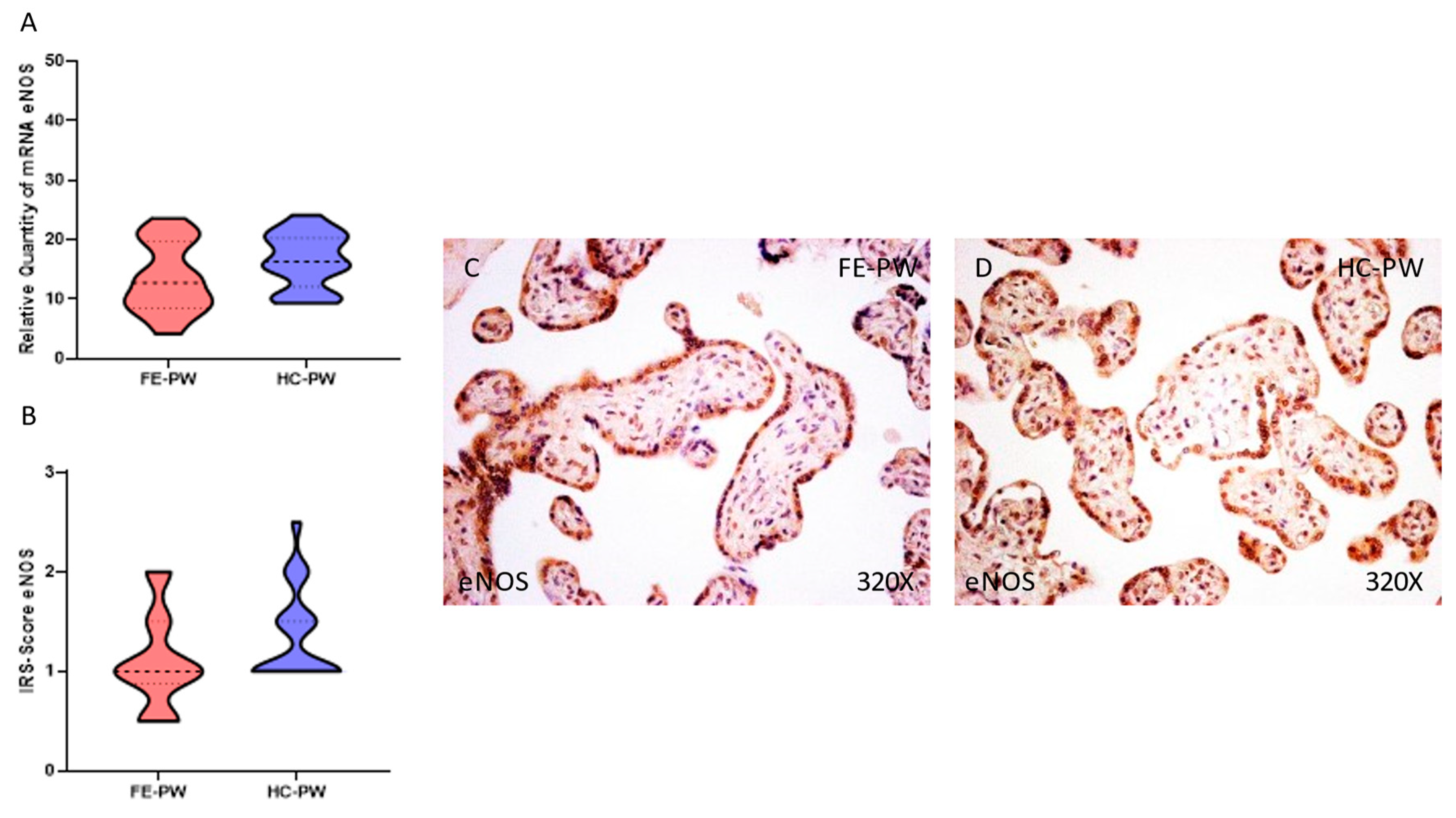 Antioxidants 12 00179 g004