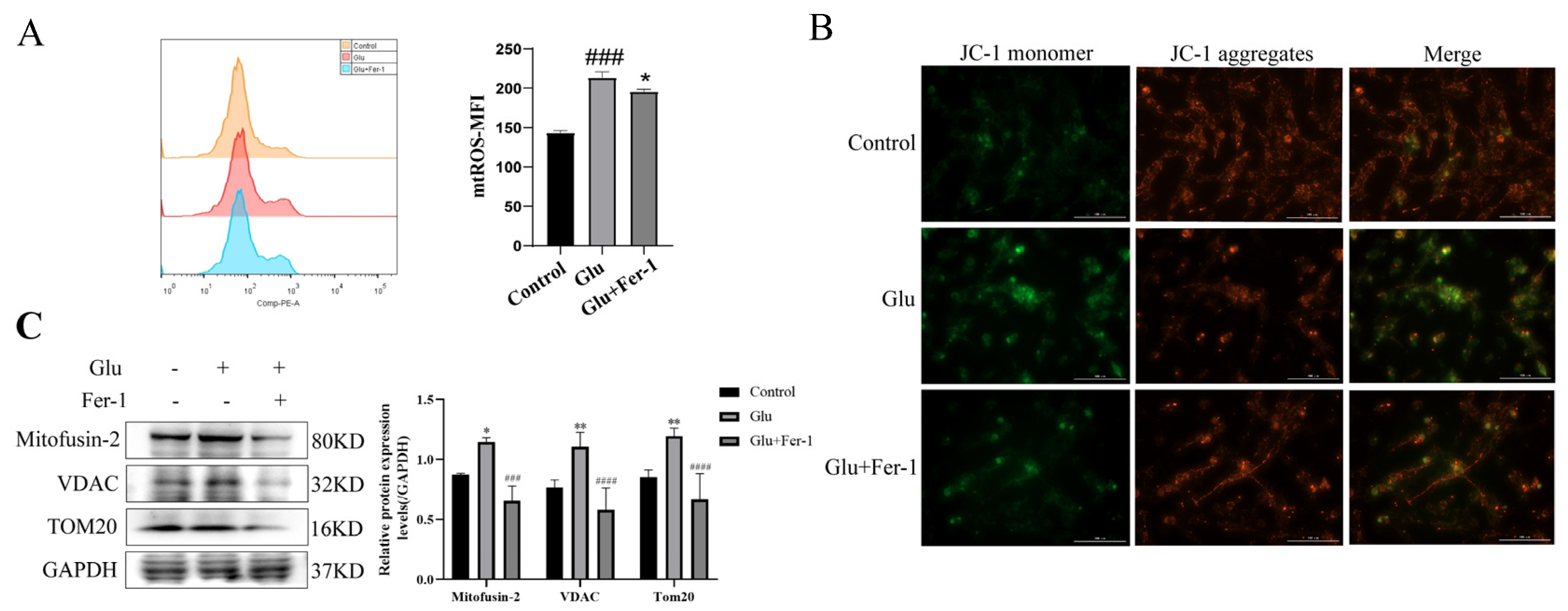 Antioxidants 12 00186 g006