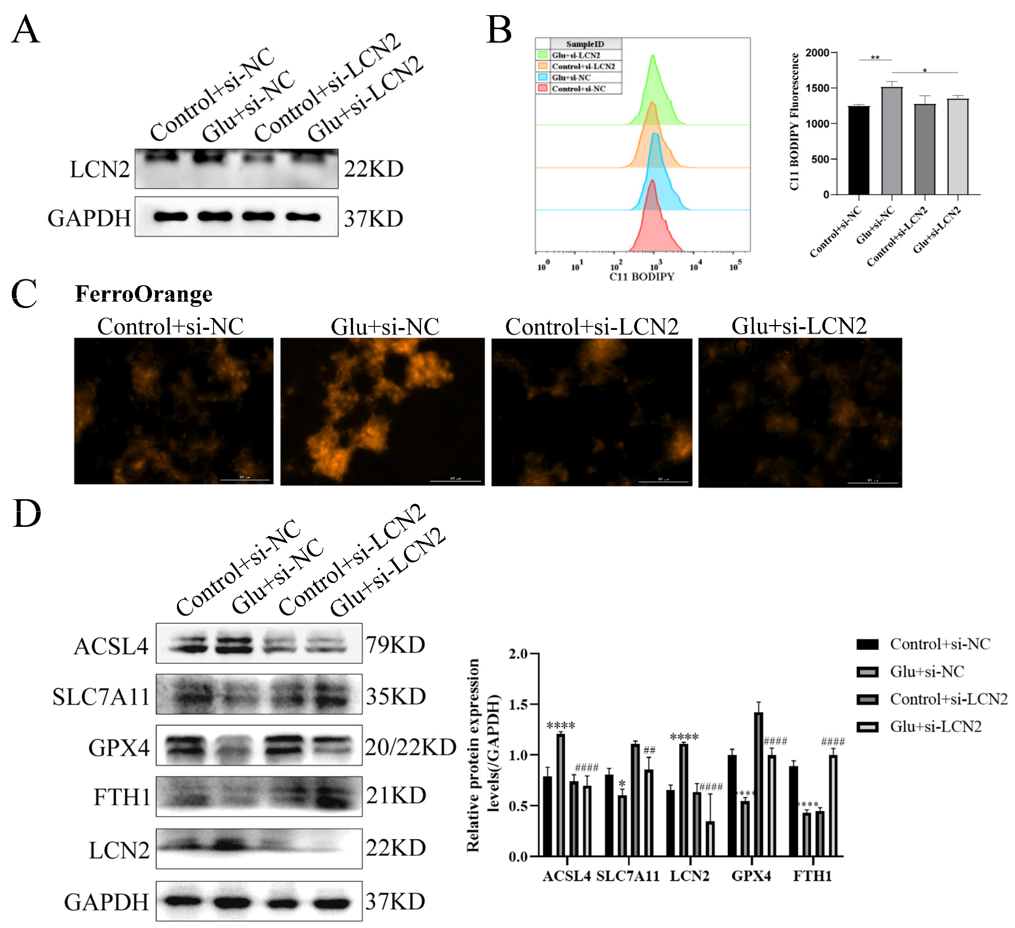 Antioxidants 12 00186 g007