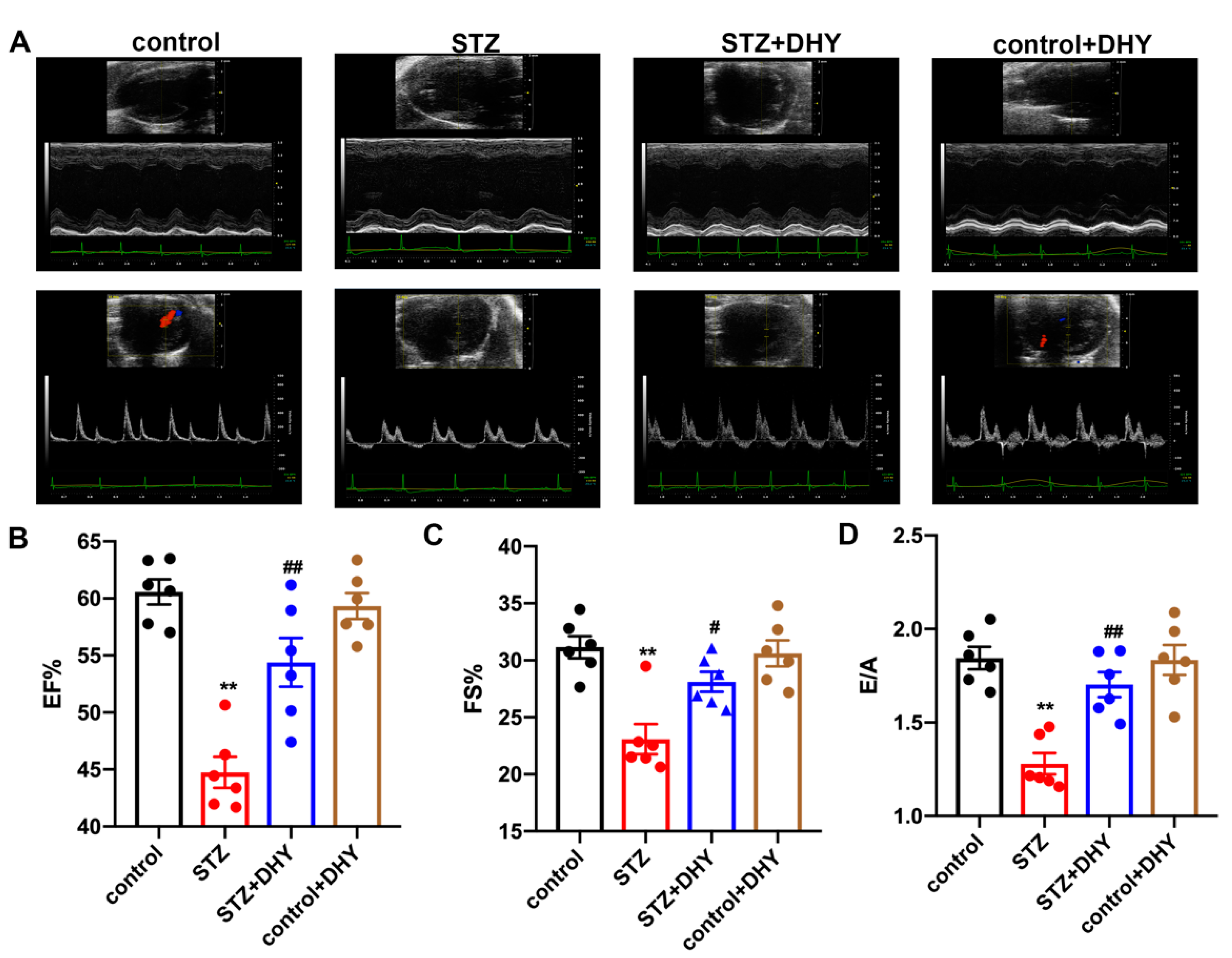 Antioxidants 12 00200 g002