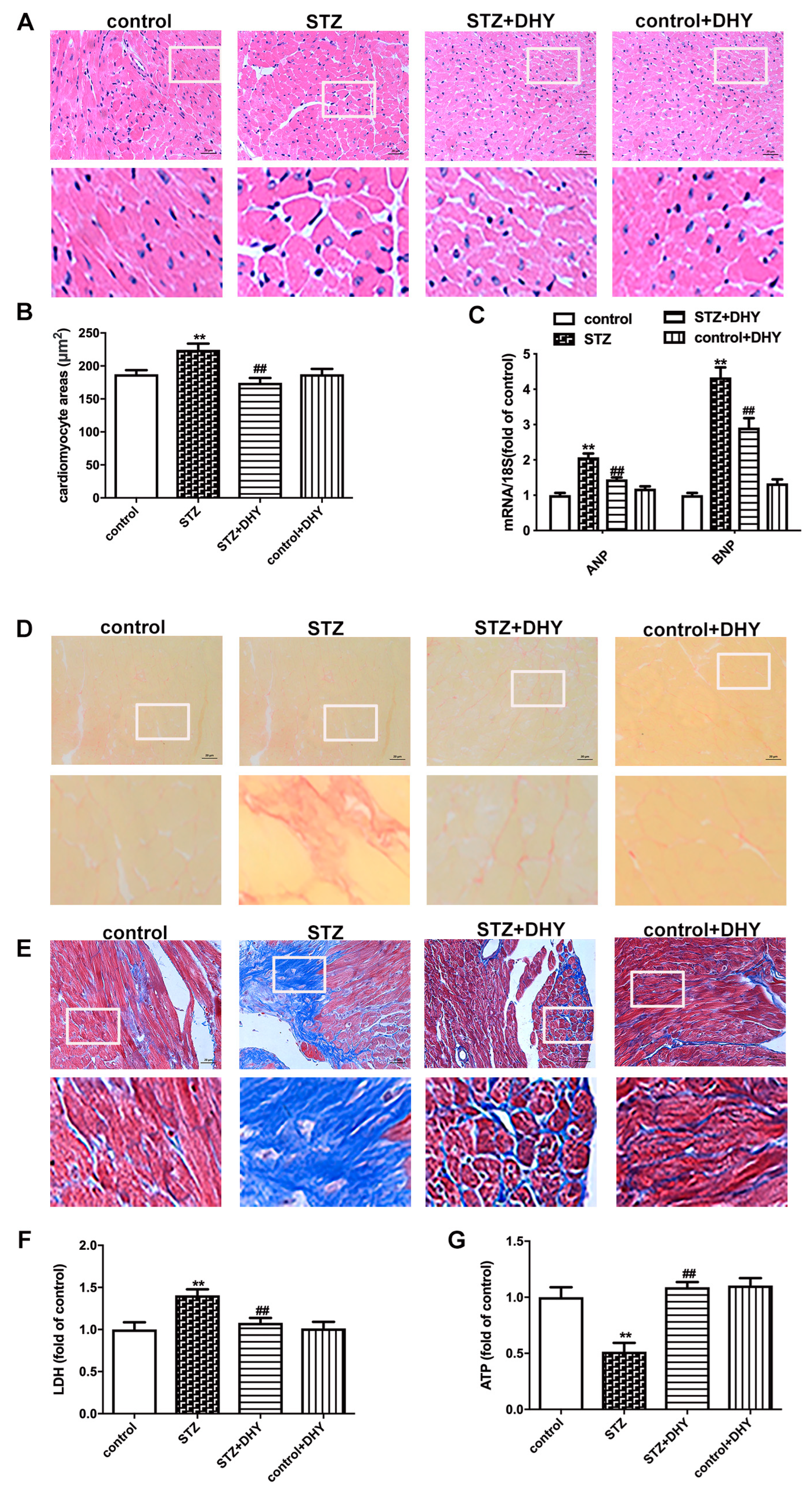 Antioxidants 12 00200 g003