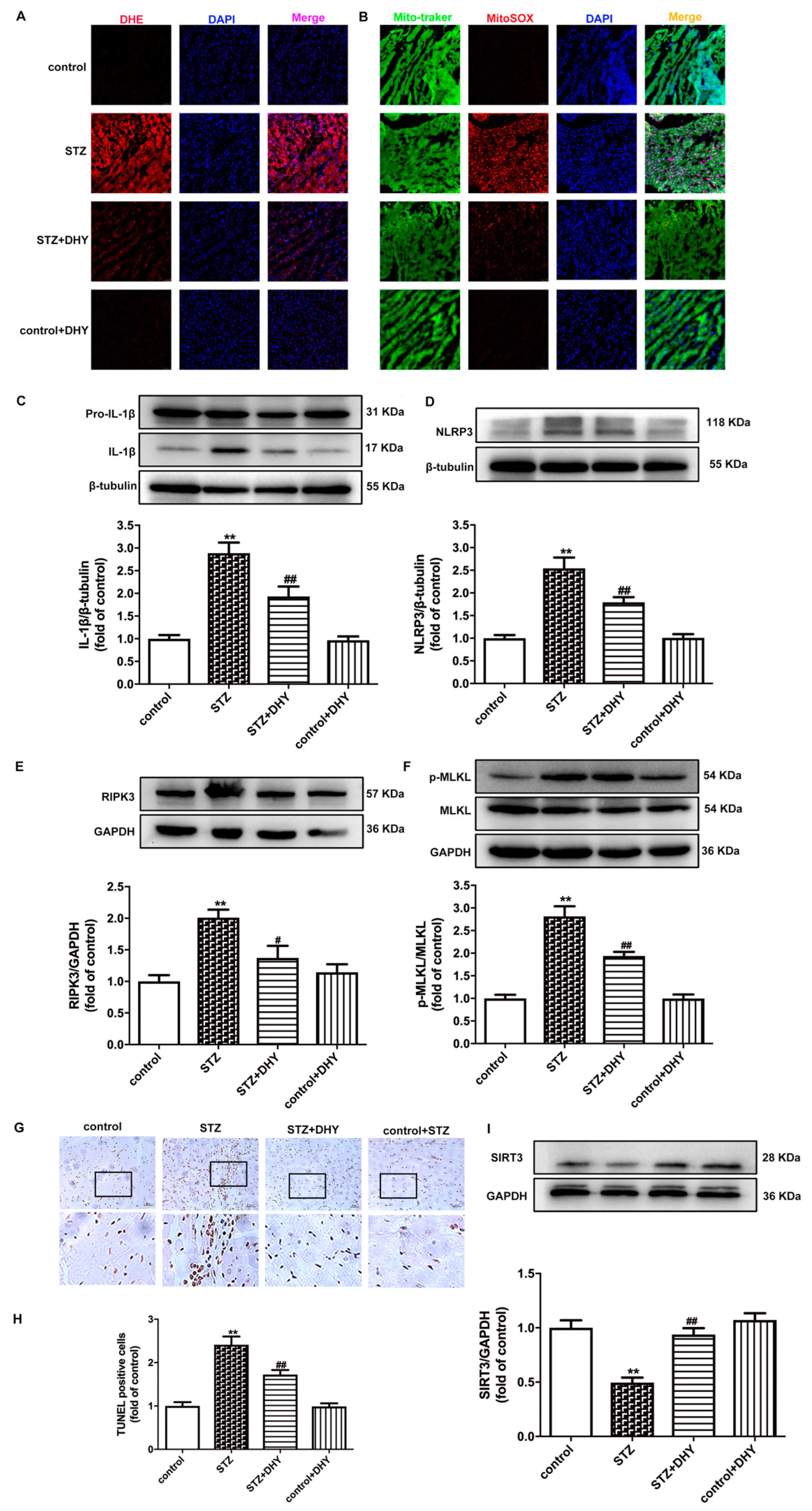 Antioxidants 12 00200 g004