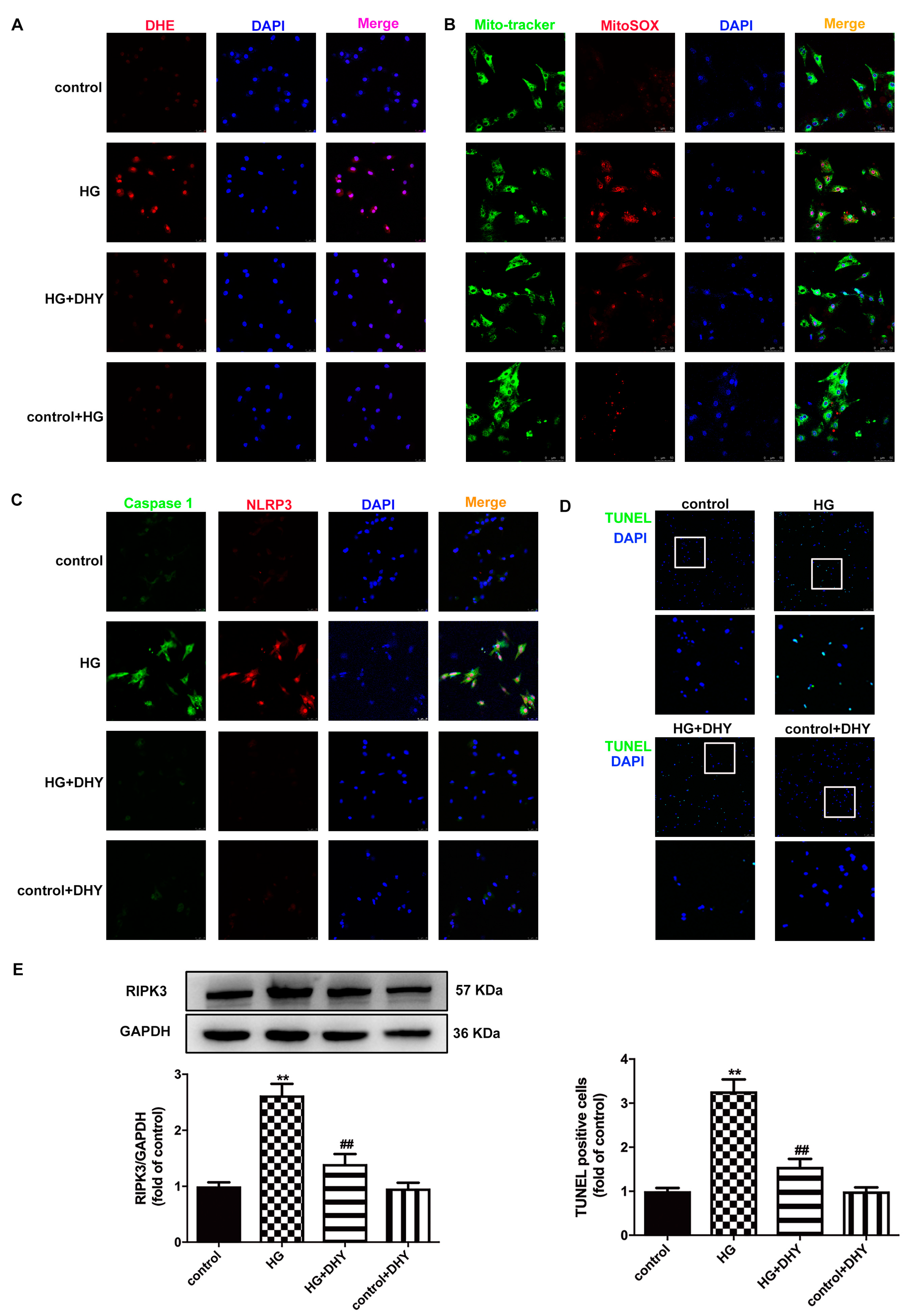 Antioxidants 12 00200 g006
