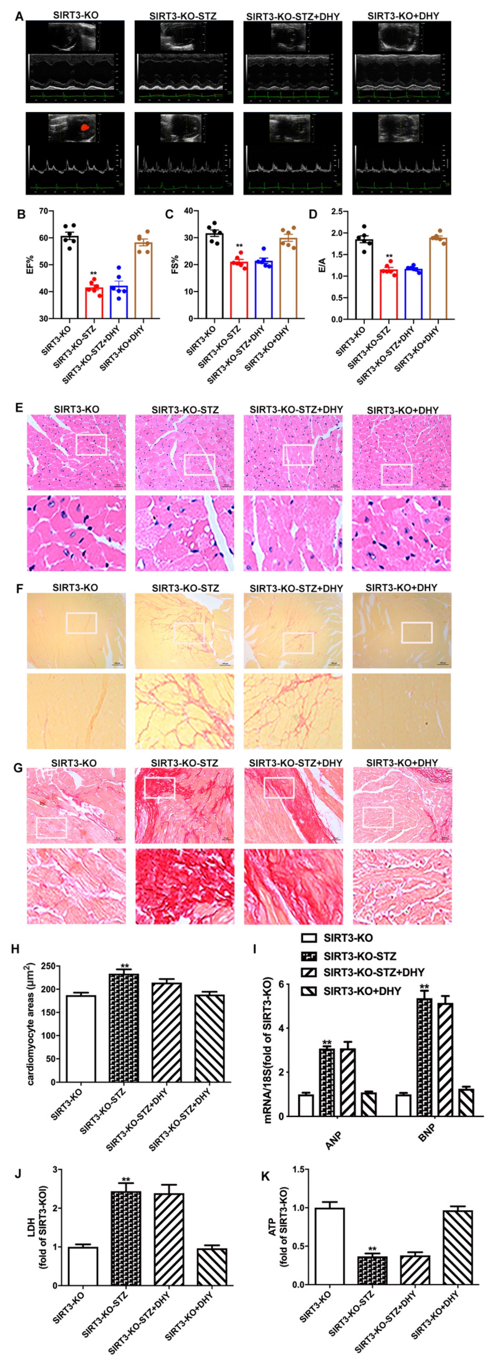 Antioxidants 12 00200 g007