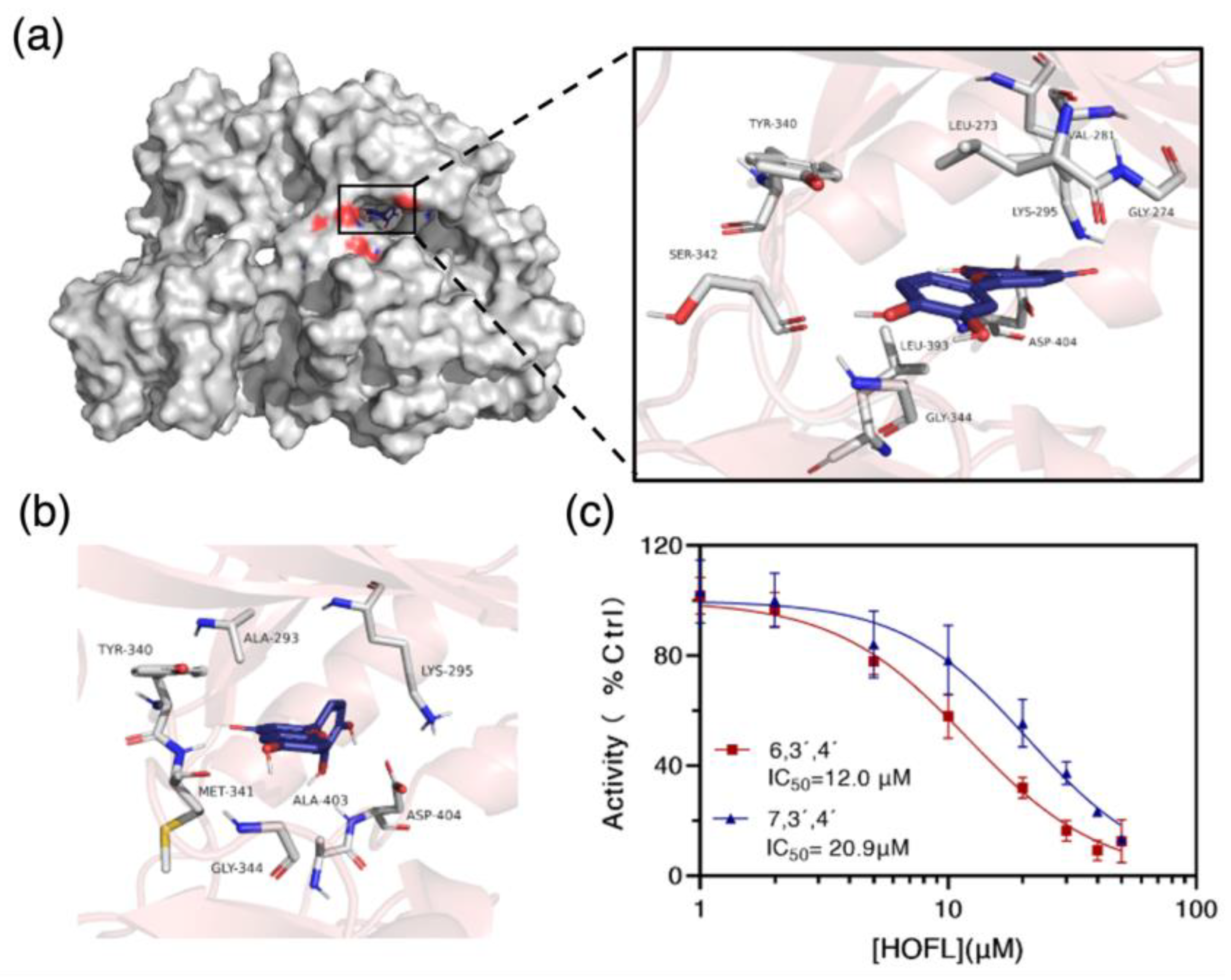 Antioxidants 12 00204 g007