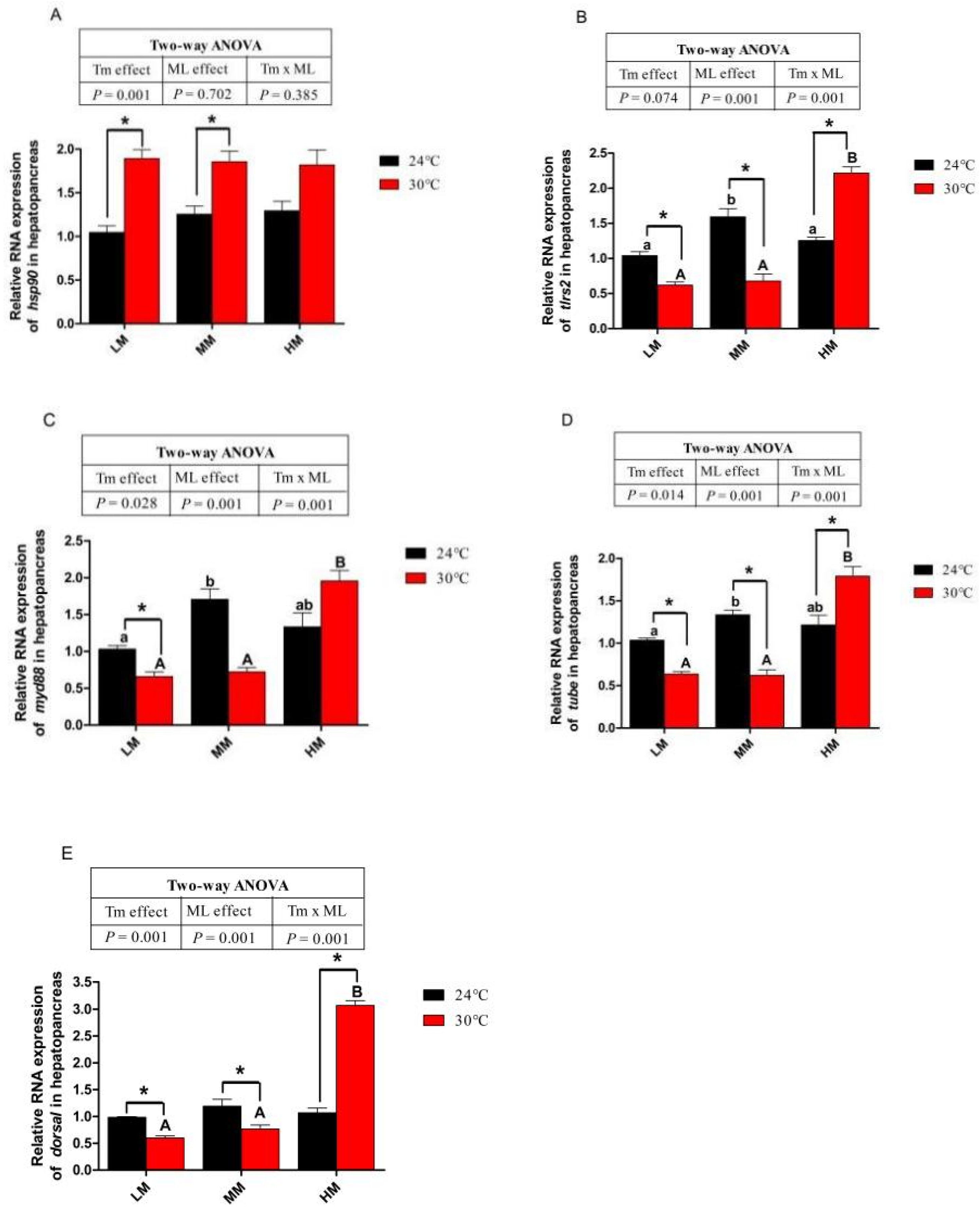 Antioxidants 12 00209 g006 Antioxidants 12 00209 g006