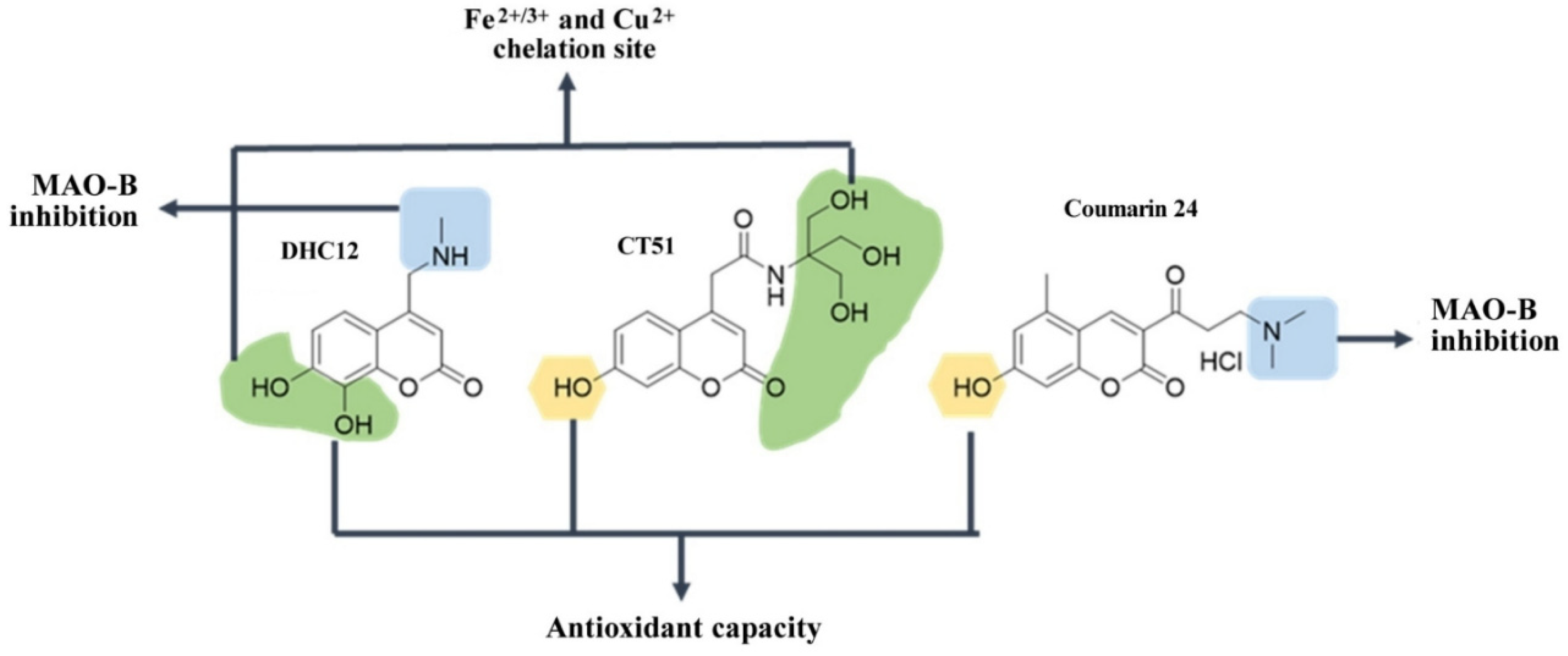 antioxidants-free-full-text-on-the-chemical-and-biological