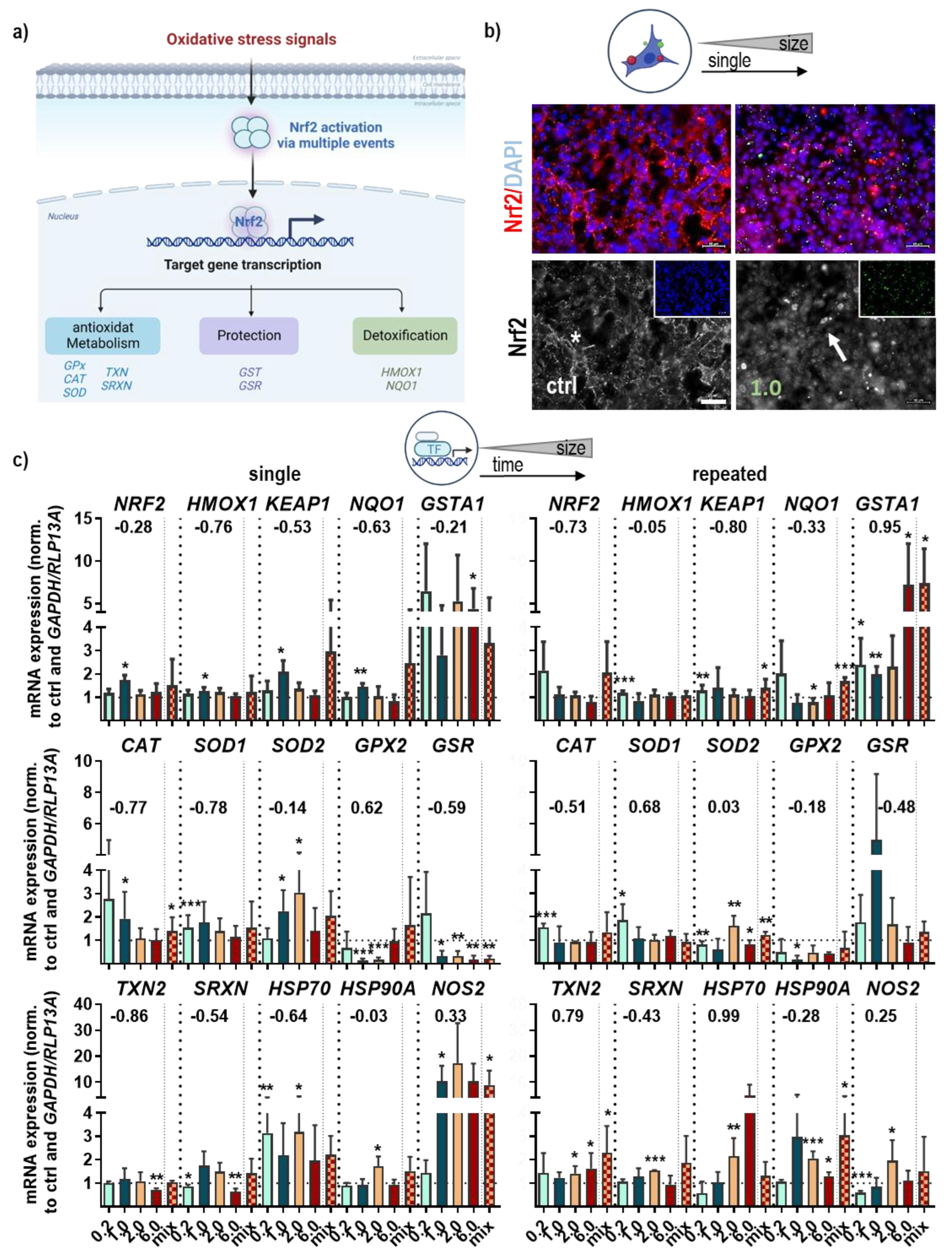 Antioxidants 12 00227 g003a