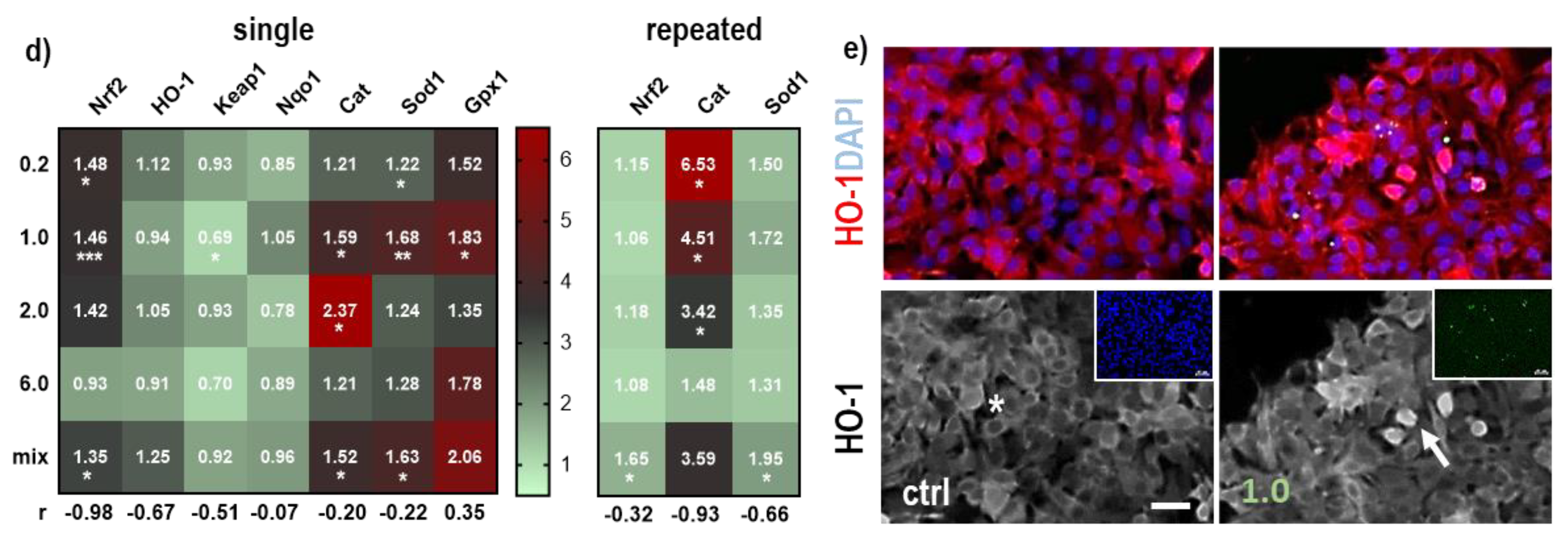 Antioxidants 12 00227 g003b