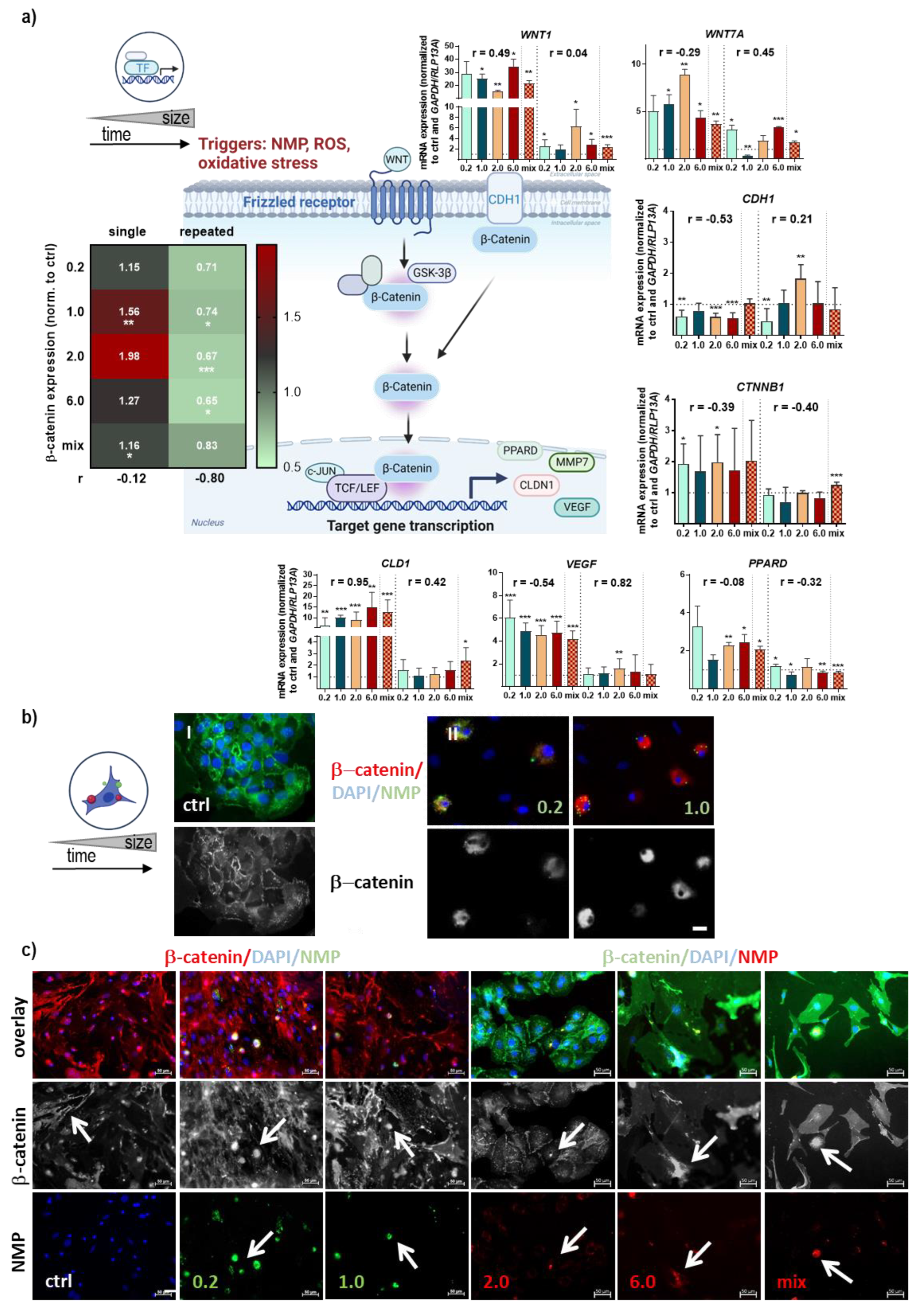 Antioxidants 12 00227 g005