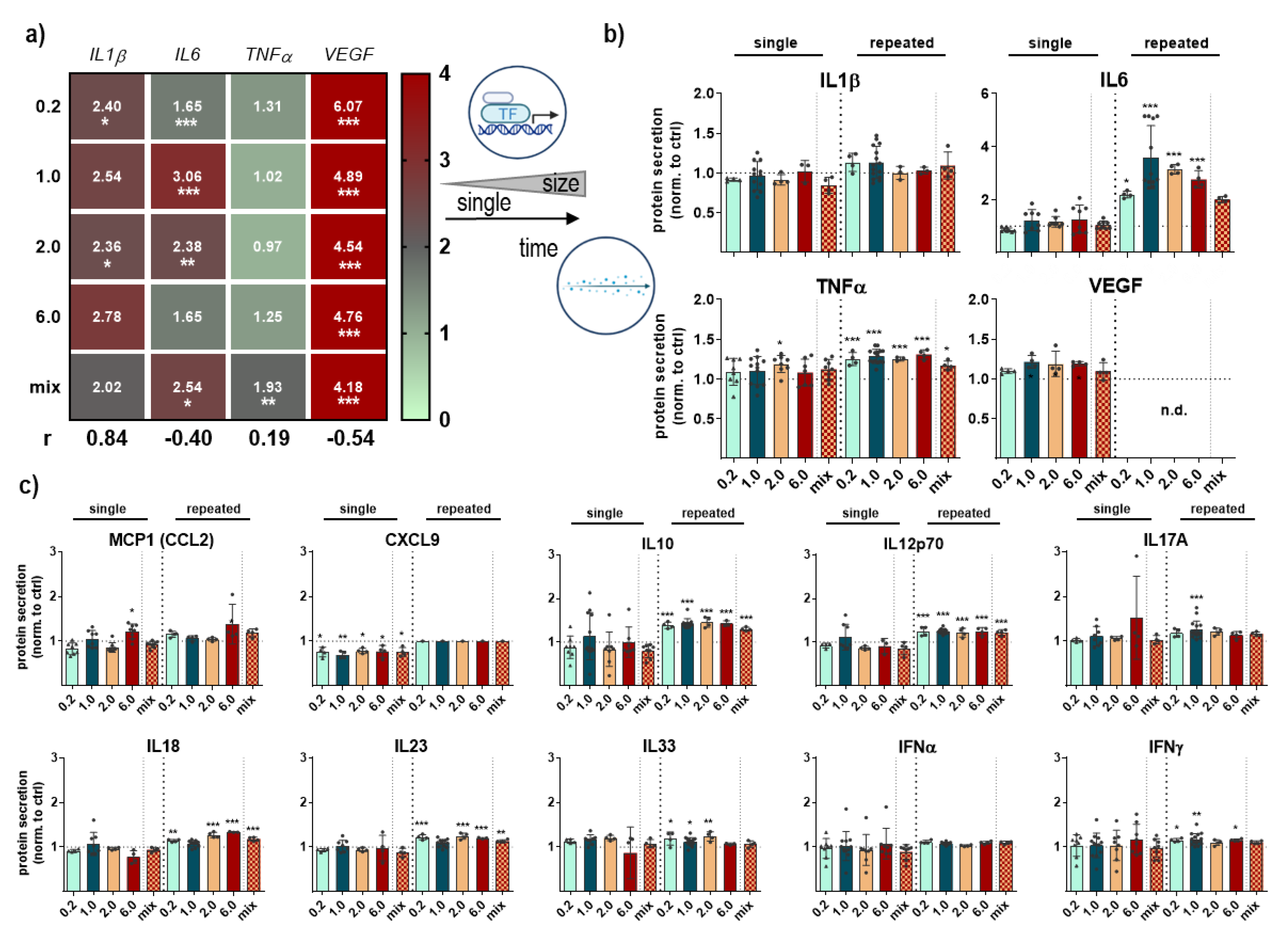 Antioxidants 12 00227 g006
