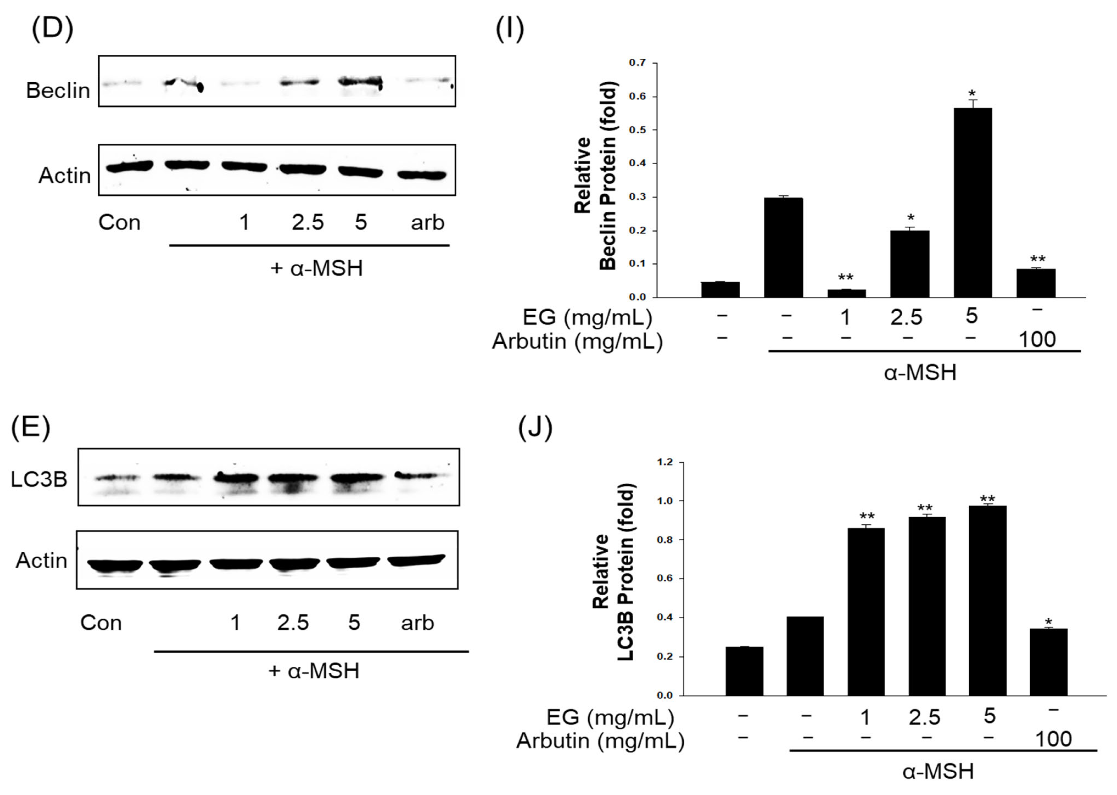 Antioxidants 12 00269 g011b
