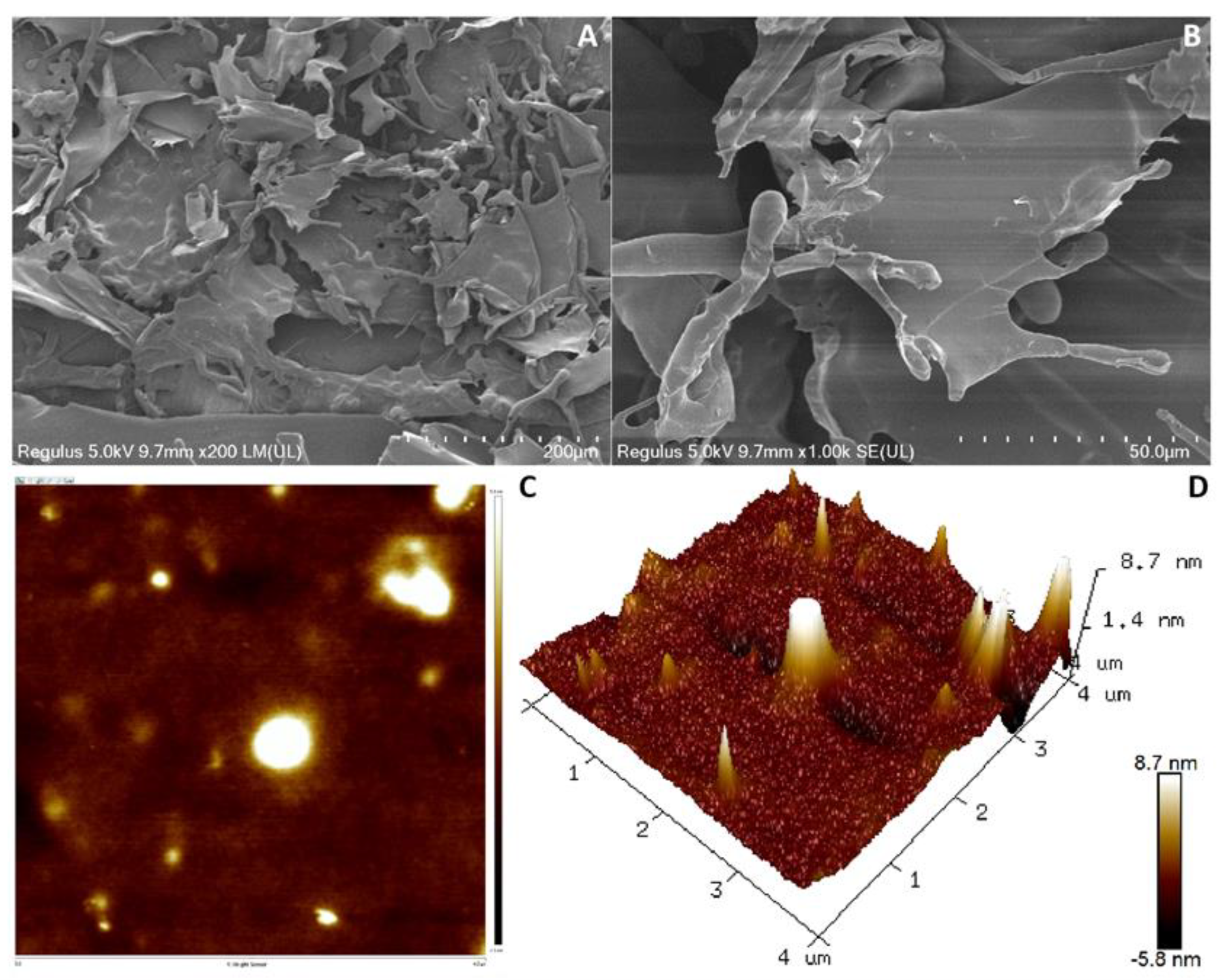 Antioxidants 12 00275 g004