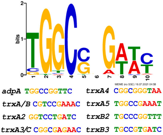 Antioxidants Free Full Text The Pleiotropic Regulator AdpA