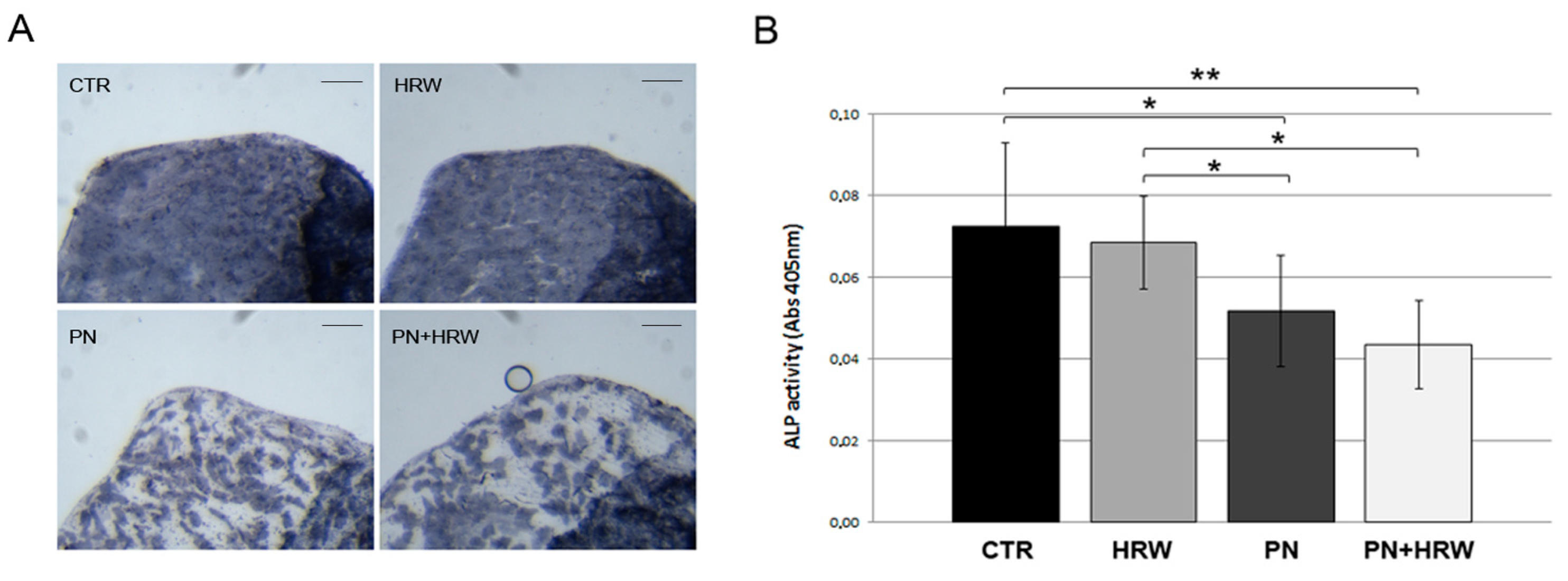 Antioxidants 12 00345 g004 Antioxidants 12 00345 g004
