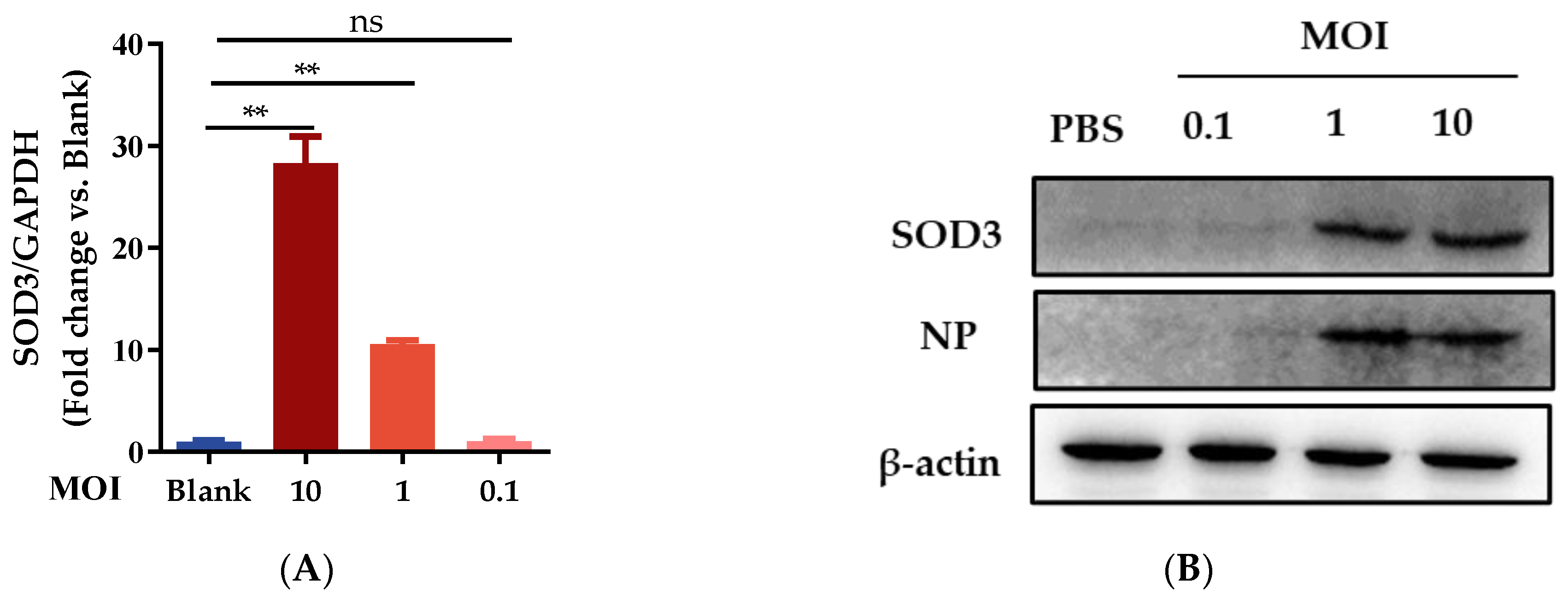 Antioxidants 12 00354 g003a