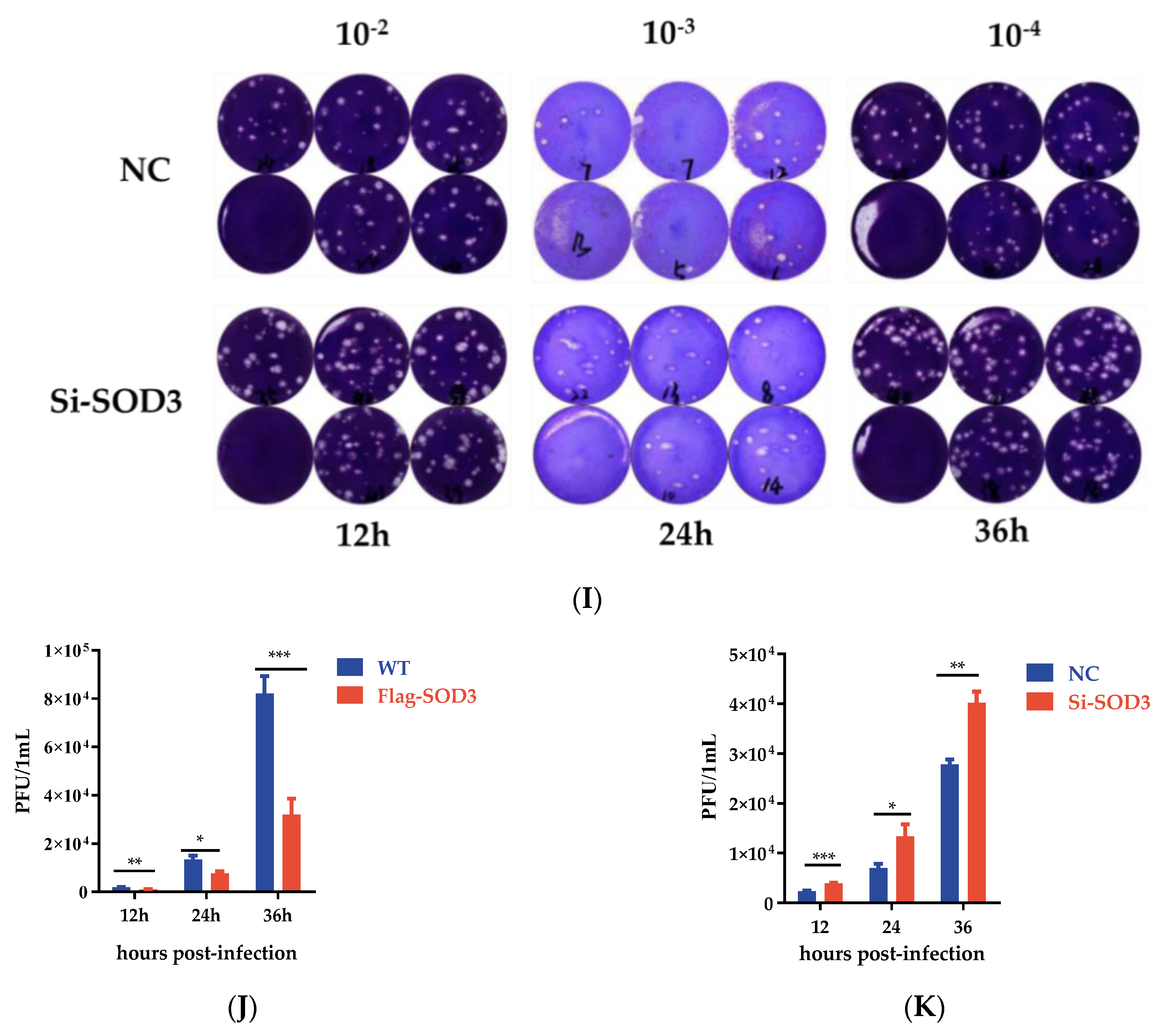Antioxidants 12 00354 g003c