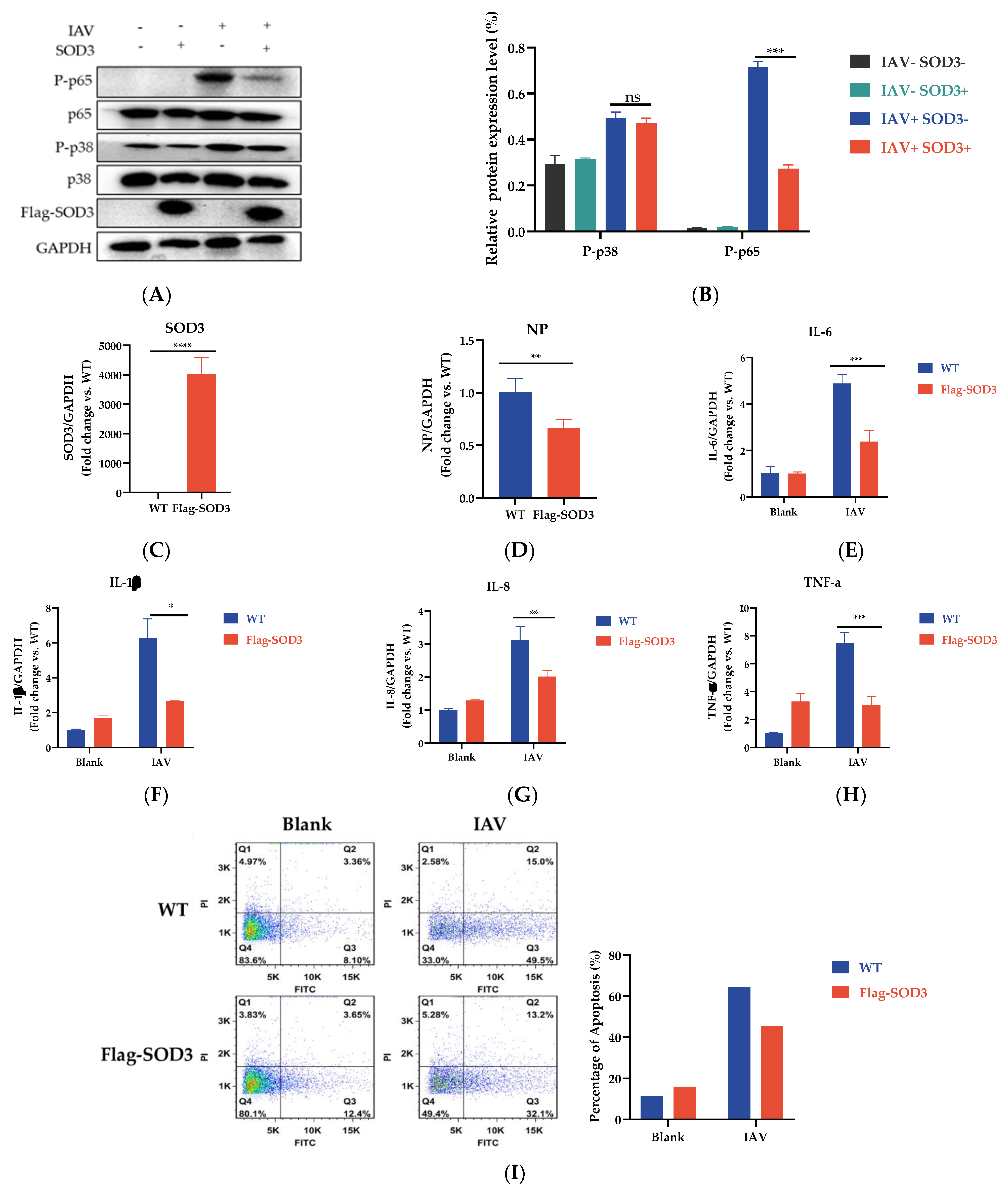 Antioxidants 12 00354 g006