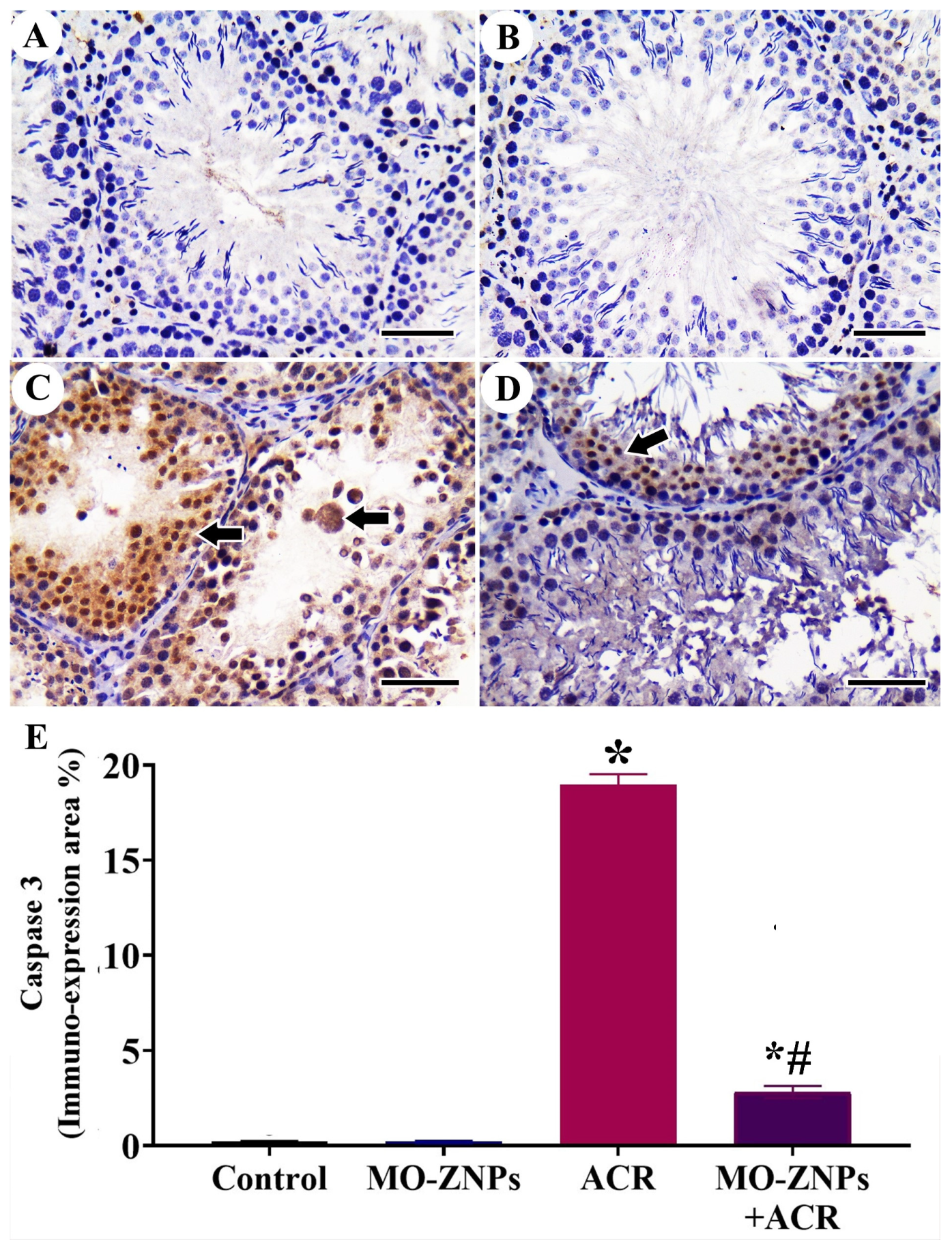 Antioxidants 12 00361 g004