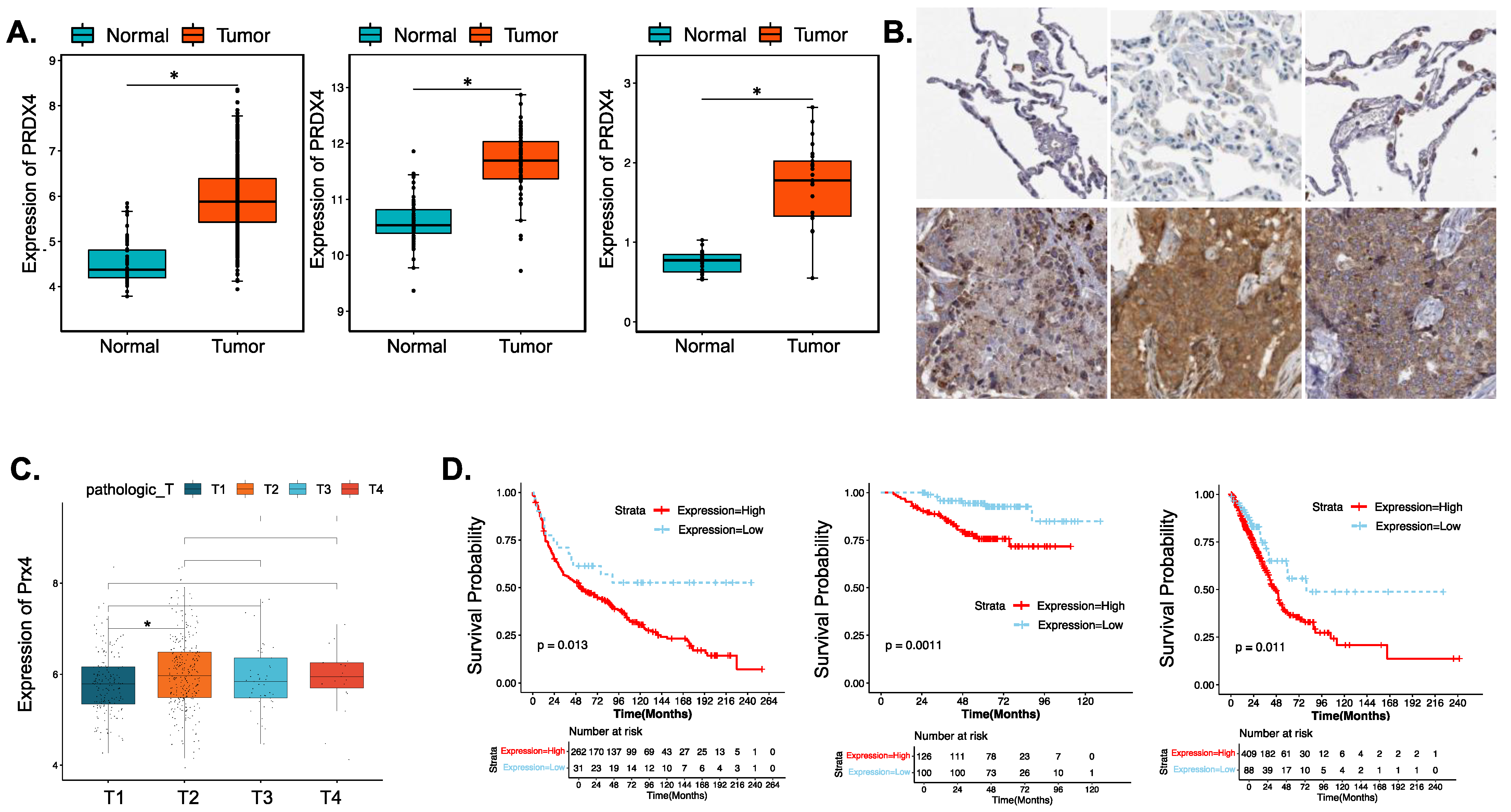 Antioxidants 12 00367 g004 Antioxidants 12 00367 g004