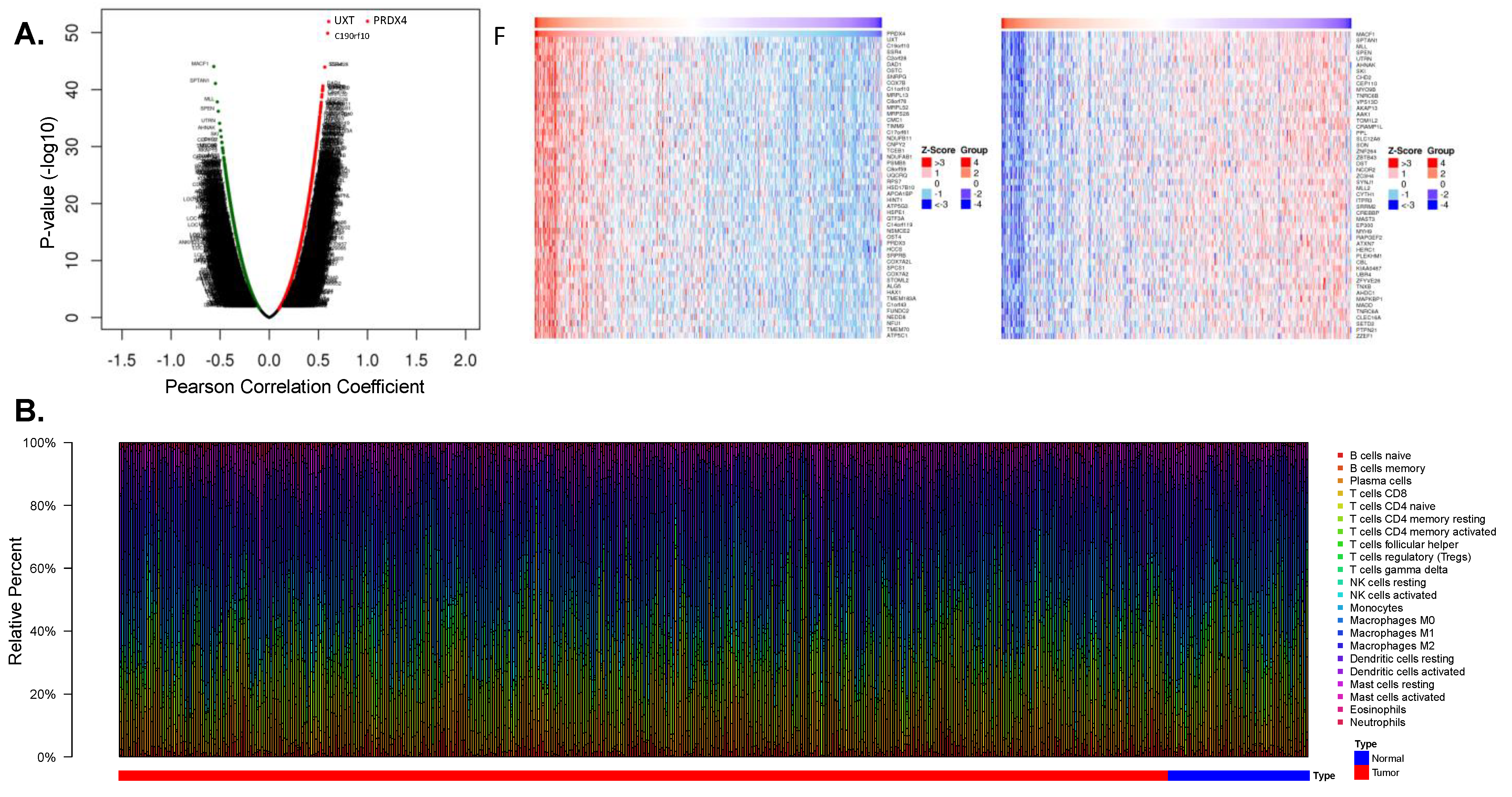 Antioxidants 12 00367 g005a Antioxidants 12 00367 g005a