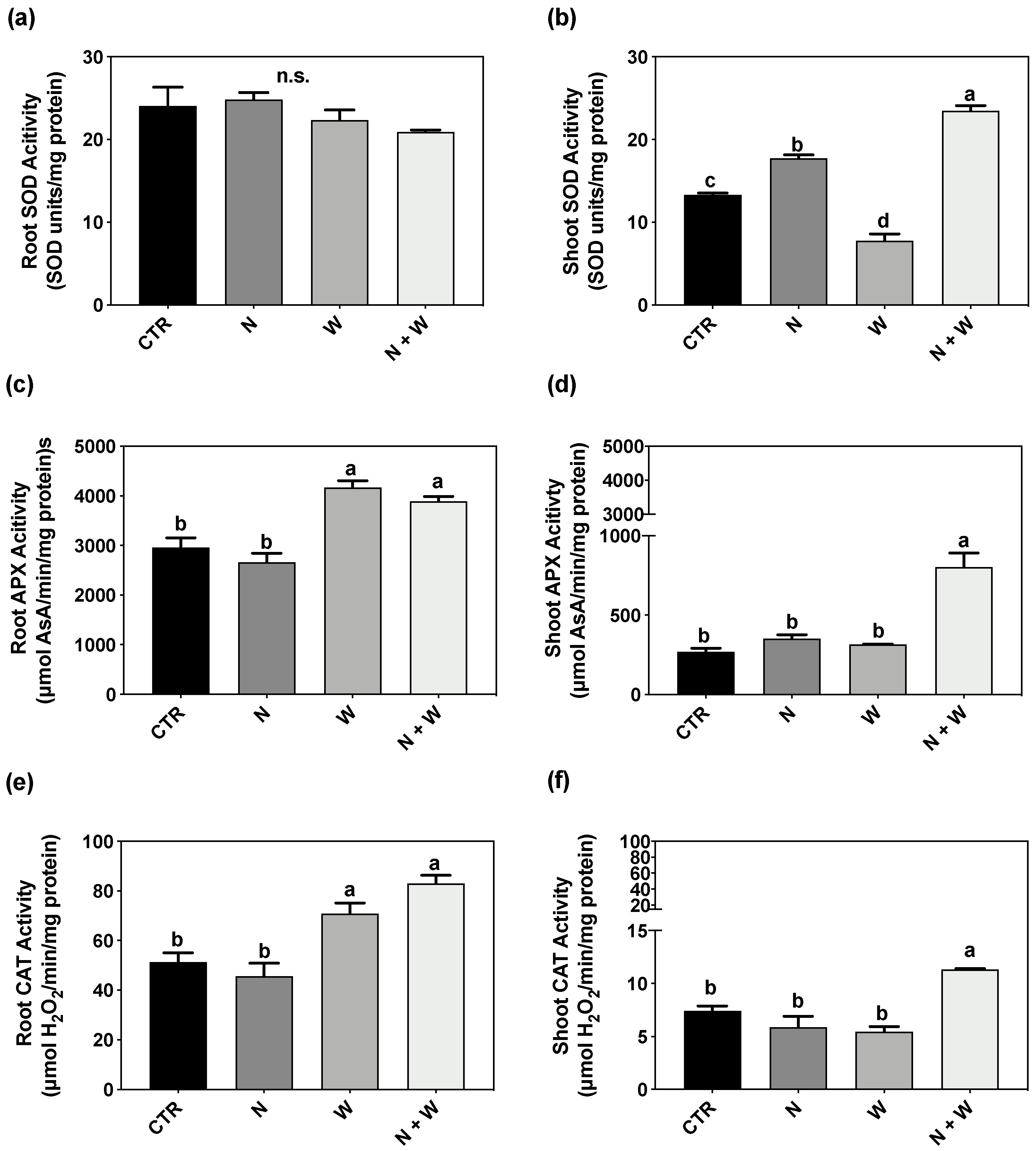 Antioxidants 12 00375 g005