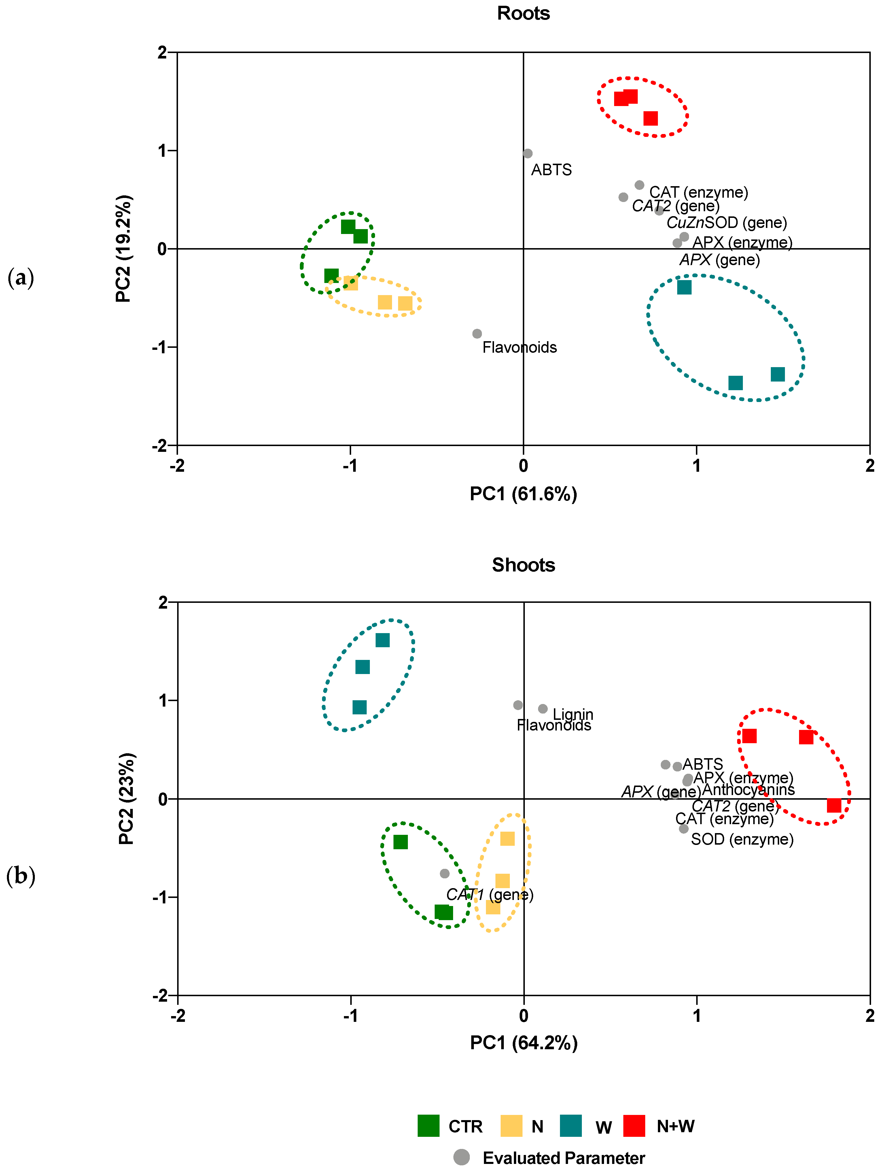 Antioxidants 12 00375 g007