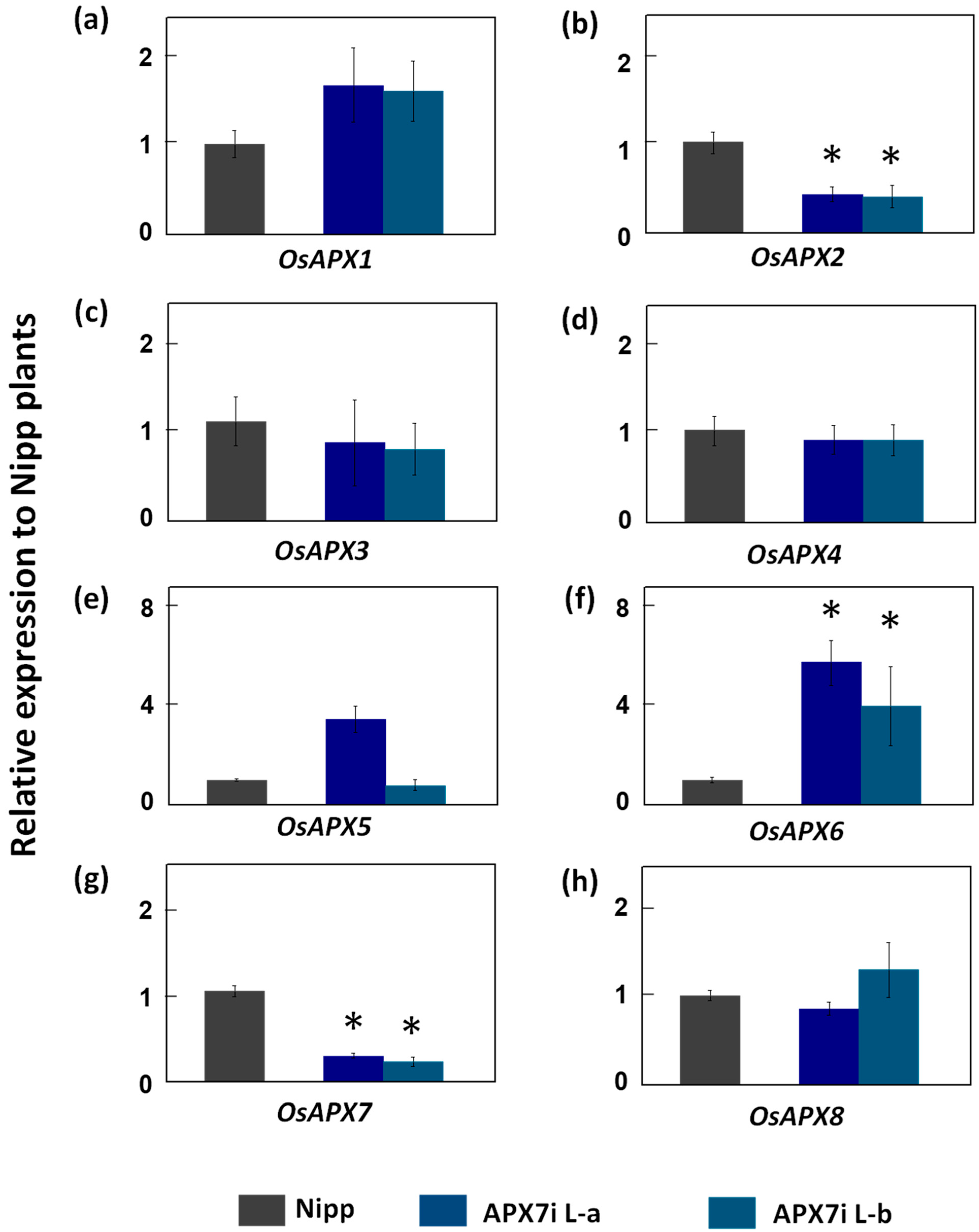 Antioxidants 12 00387 g002 Antioxidants 12 00387 g002
