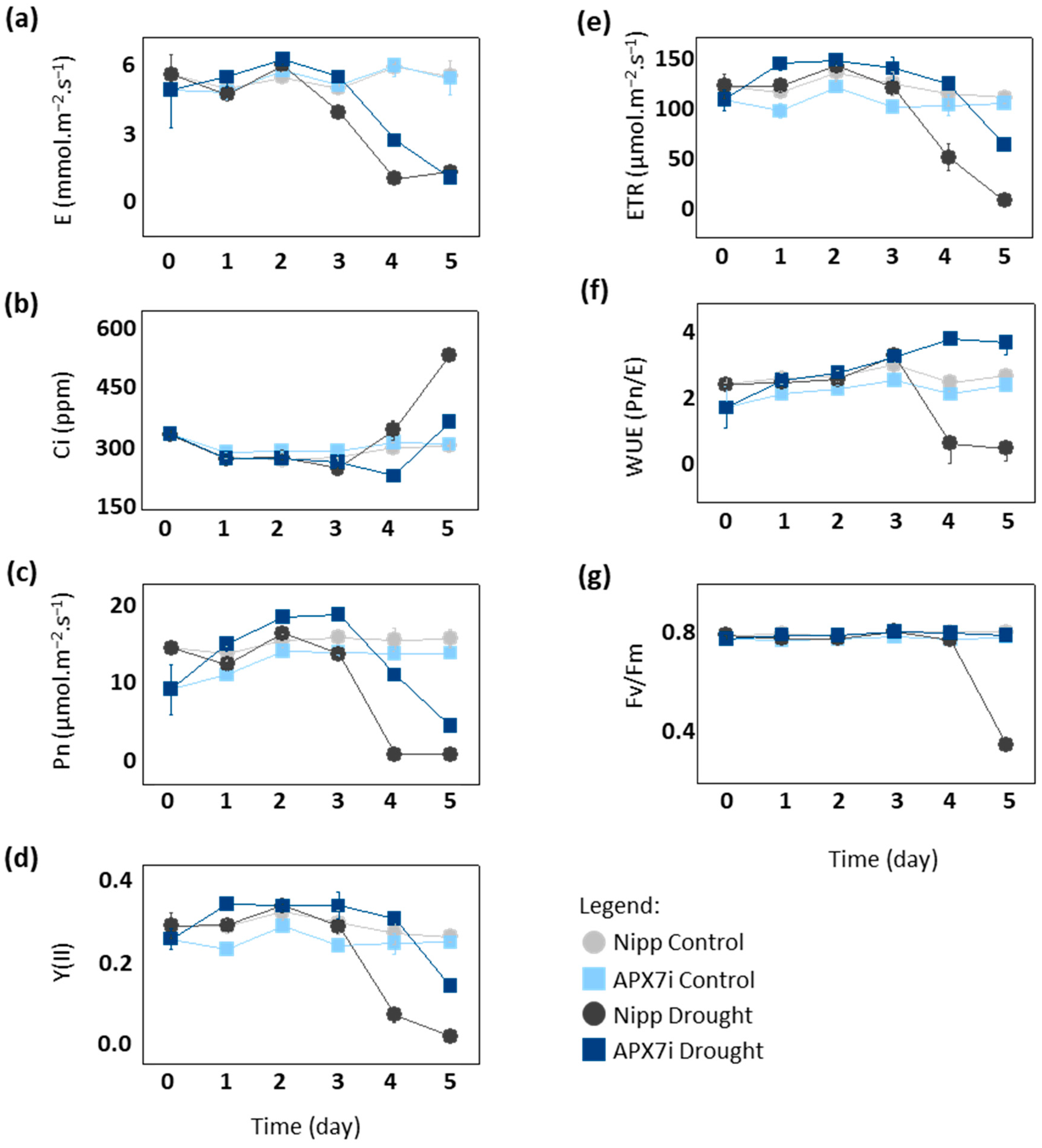 Antioxidants 12 00387 g006 Antioxidants 12 00387 g006