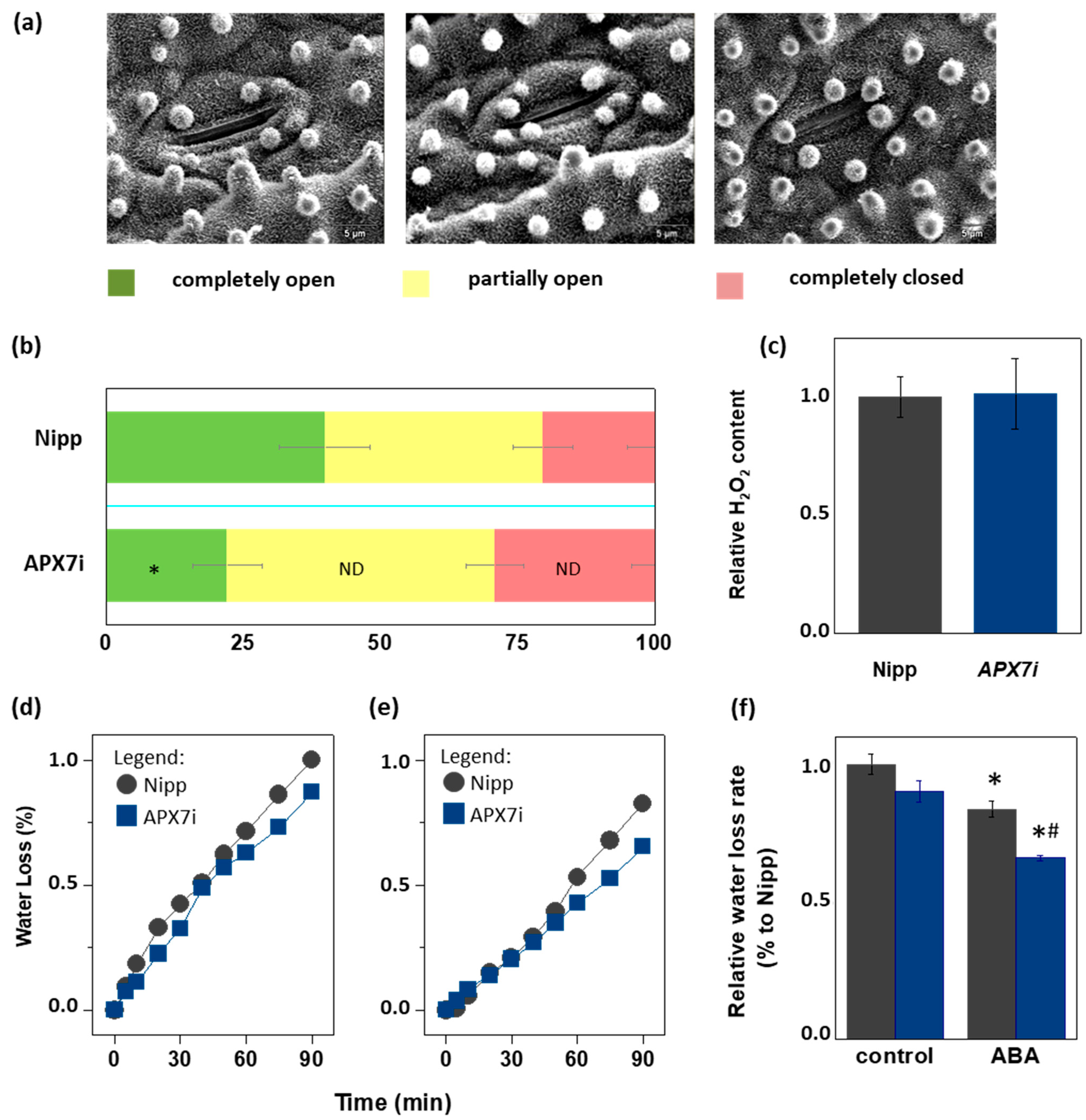 Antioxidants 12 00387 g007 Antioxidants 12 00387 g007