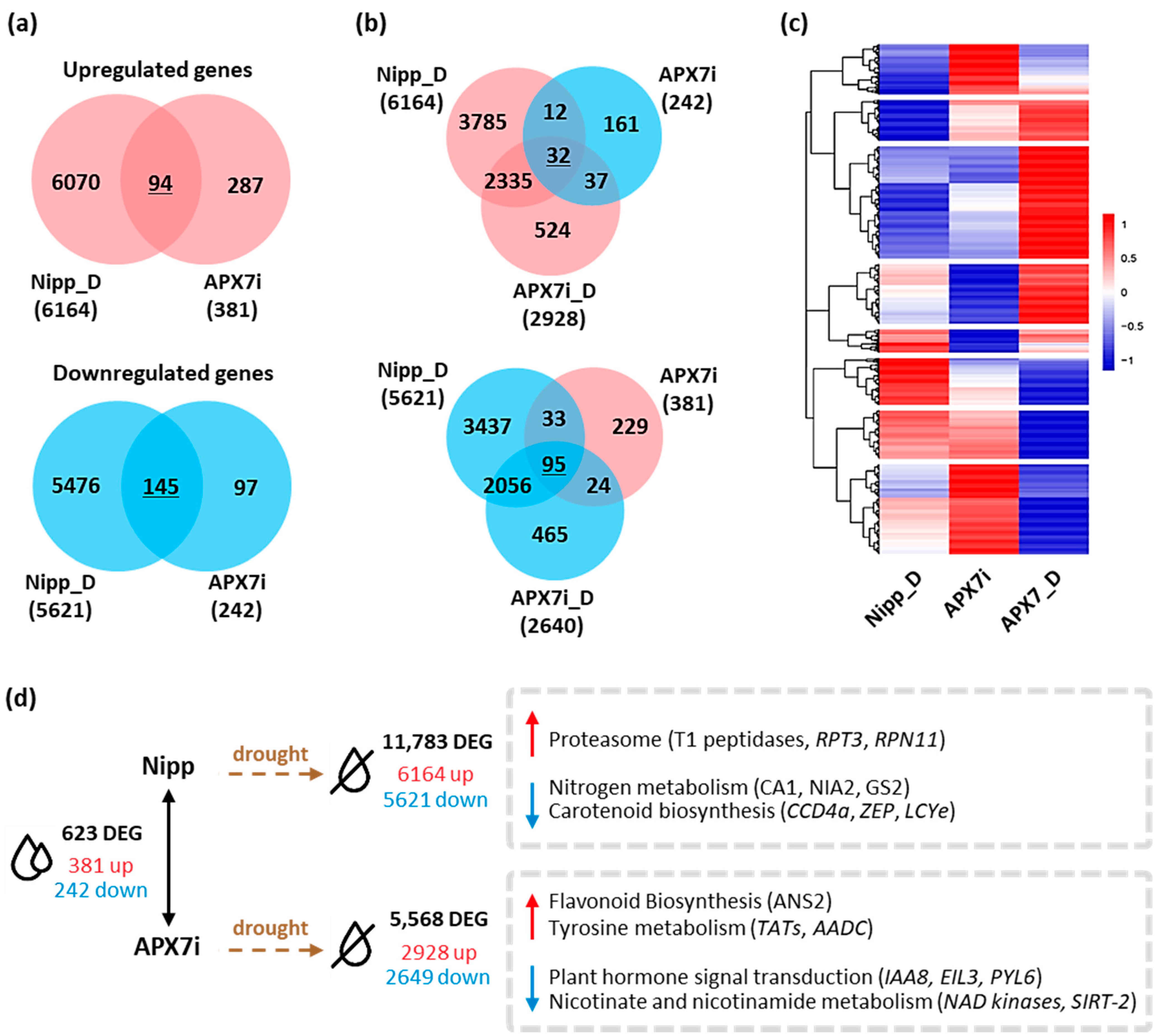 Antioxidants 12 00387 g009 Antioxidants 12 00387 g009
