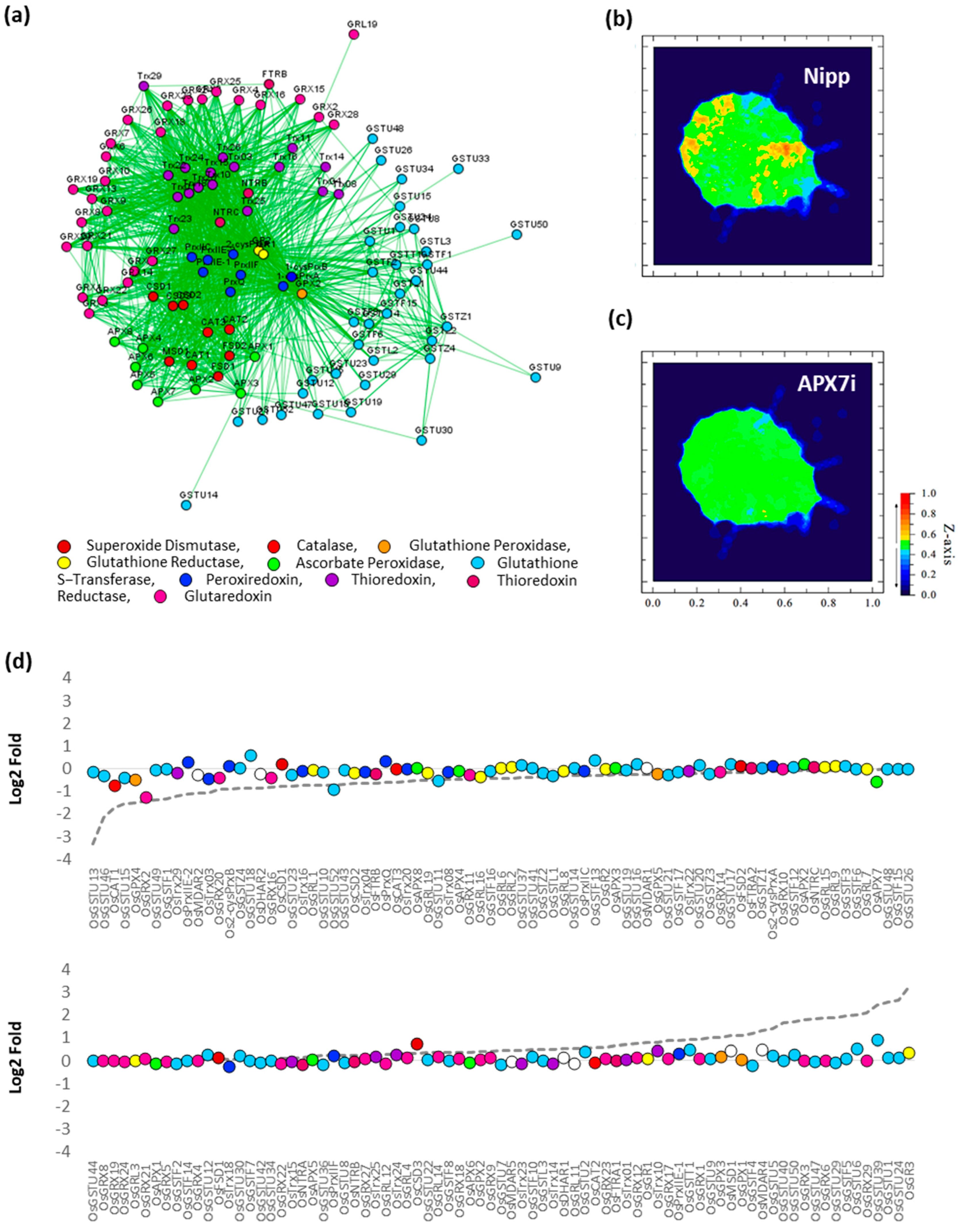 Antioxidants 12 00387 g010 Antioxidants 12 00387 g010