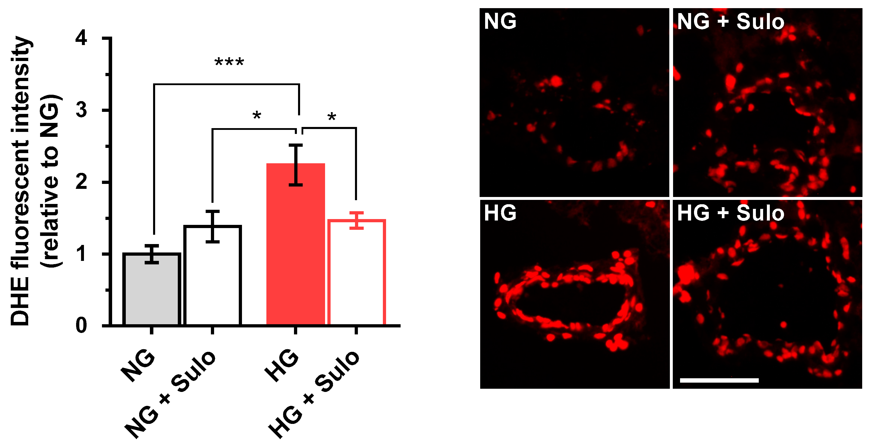 Antioxidants 12 00388 g003 Antioxidants 12 00388 g003